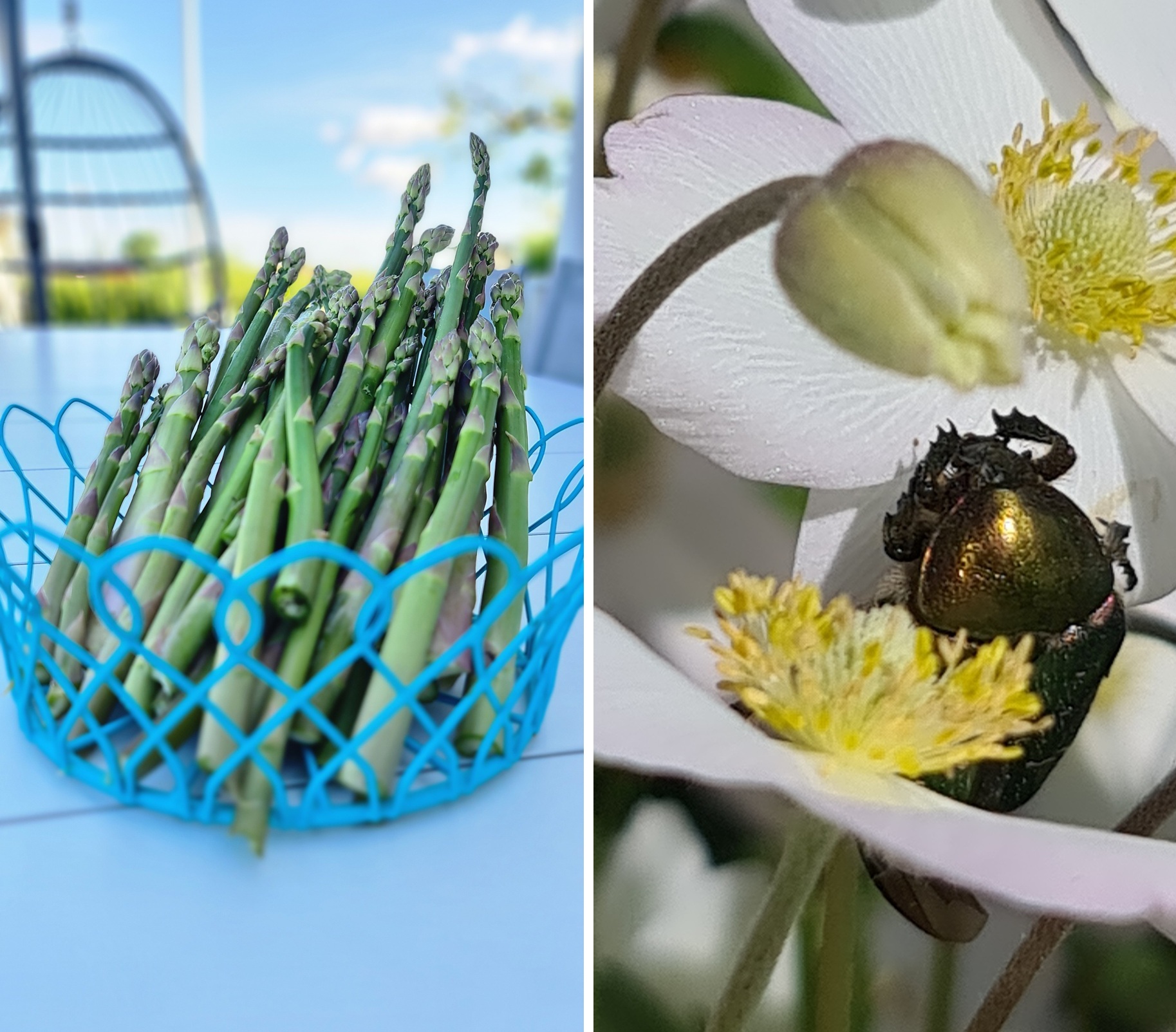 Säljarens sommarbild