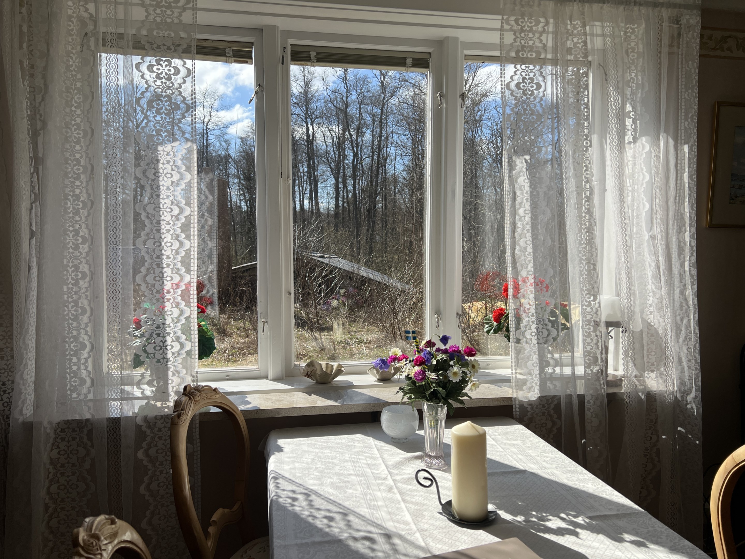 Som det ska  vara - spetsgardin och pelargoner
