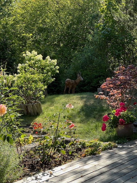 Bostadsbild från Åsavägen 16, Till salu i Eknäs, Nacka