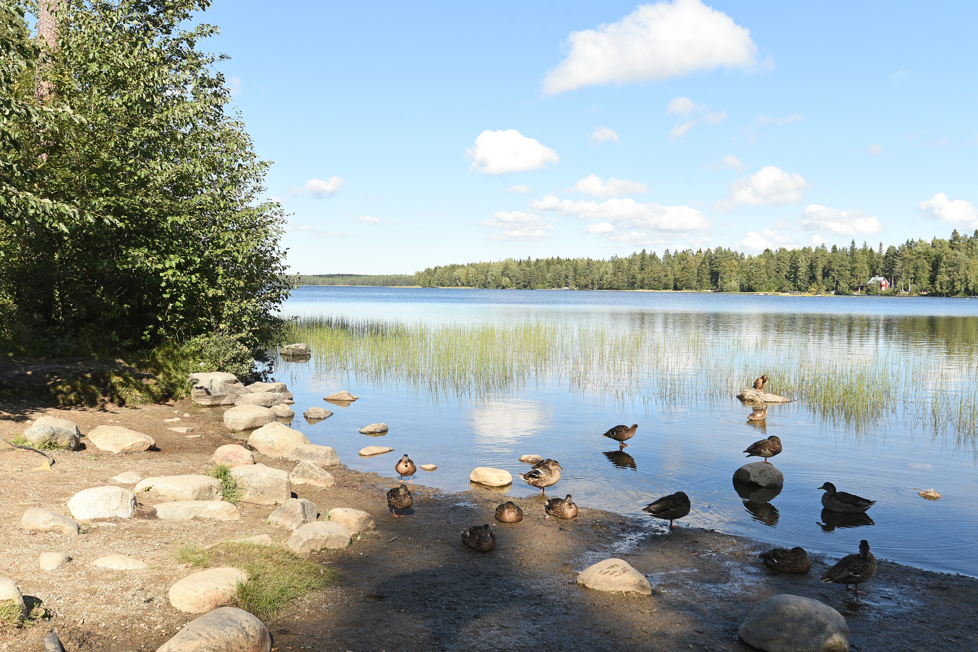 Tomtebo Äventyrslekplatsen 2