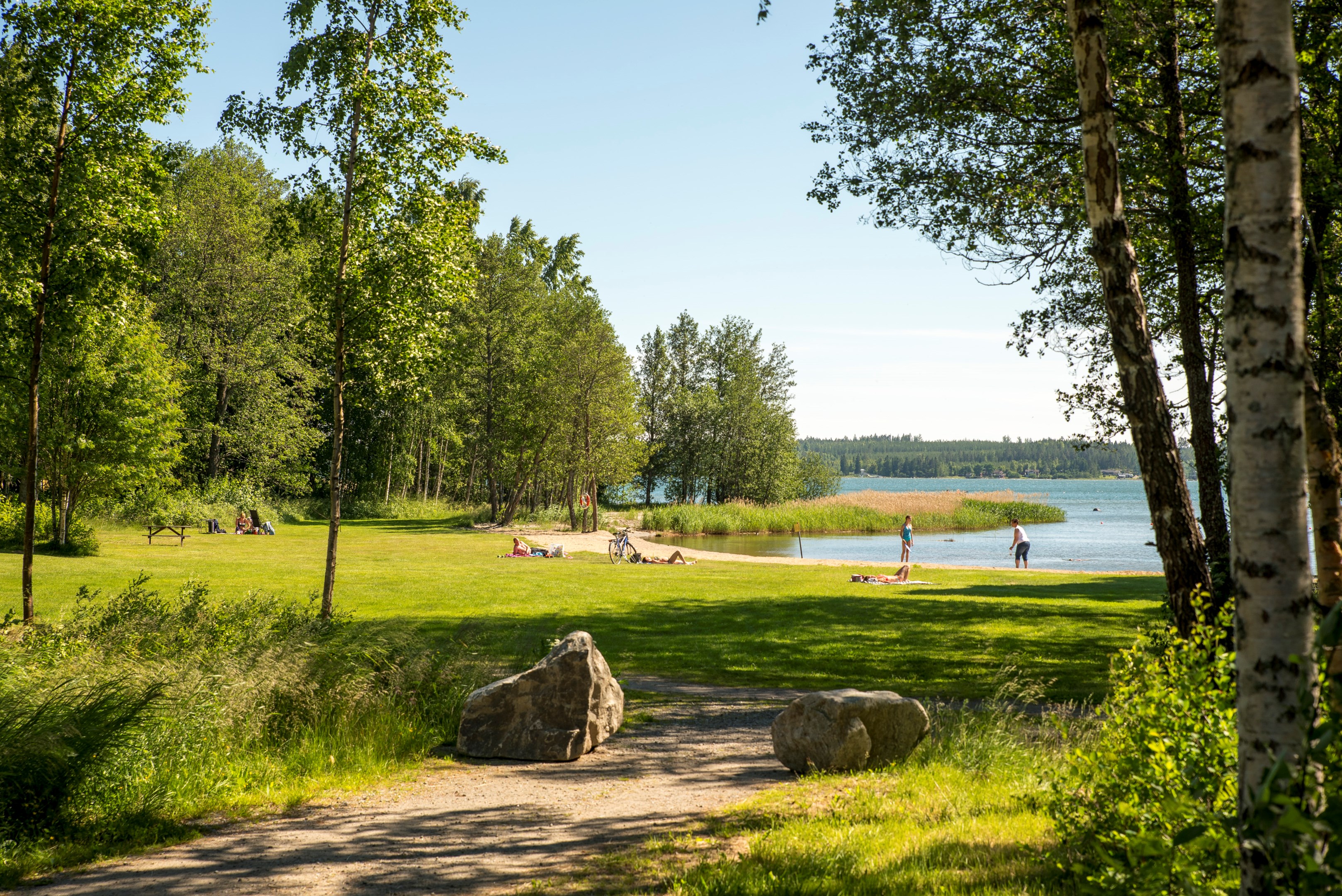 Gräsmaln ca 350 m från tomten