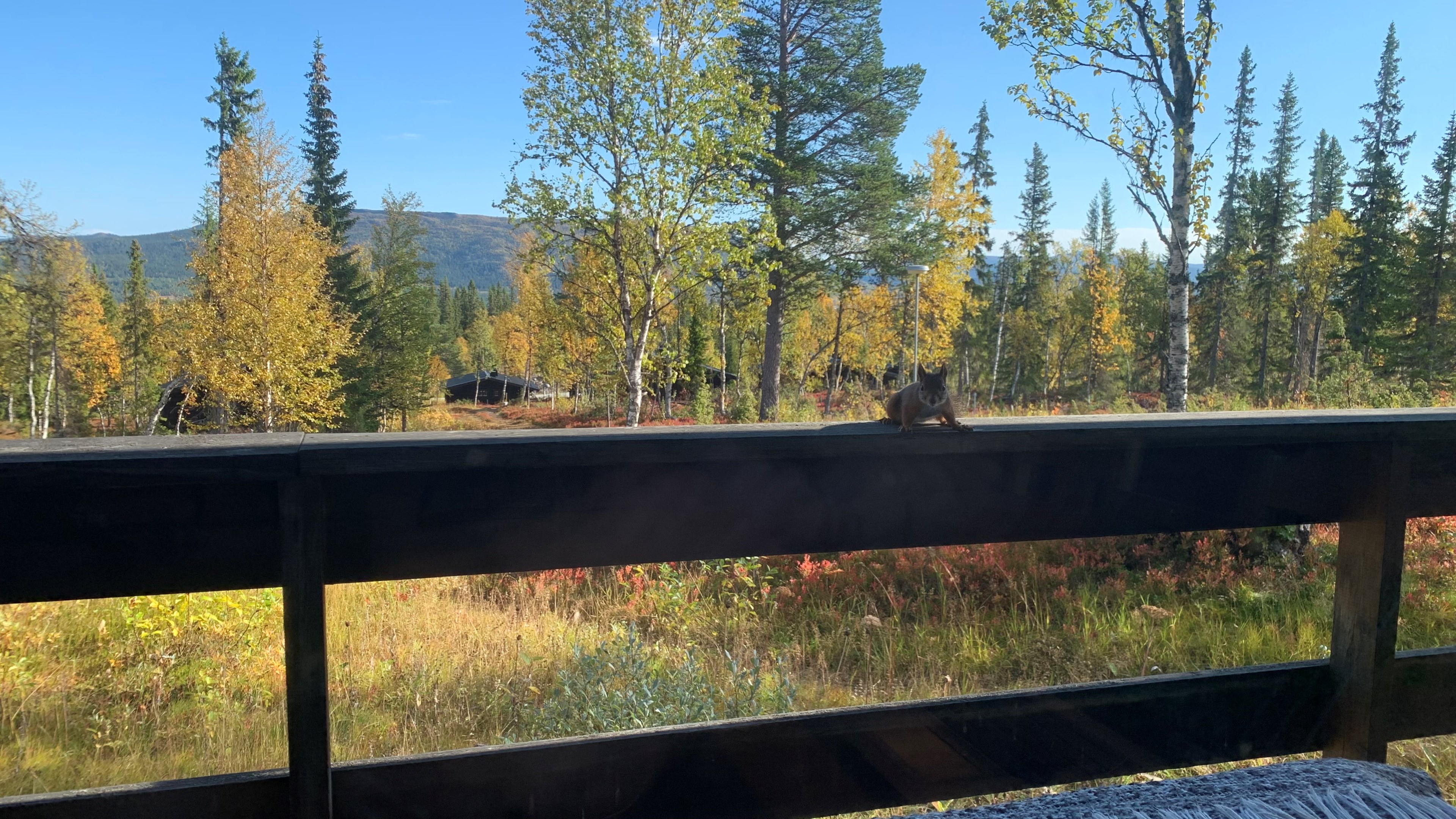 58. Utsikt från fjällstugan