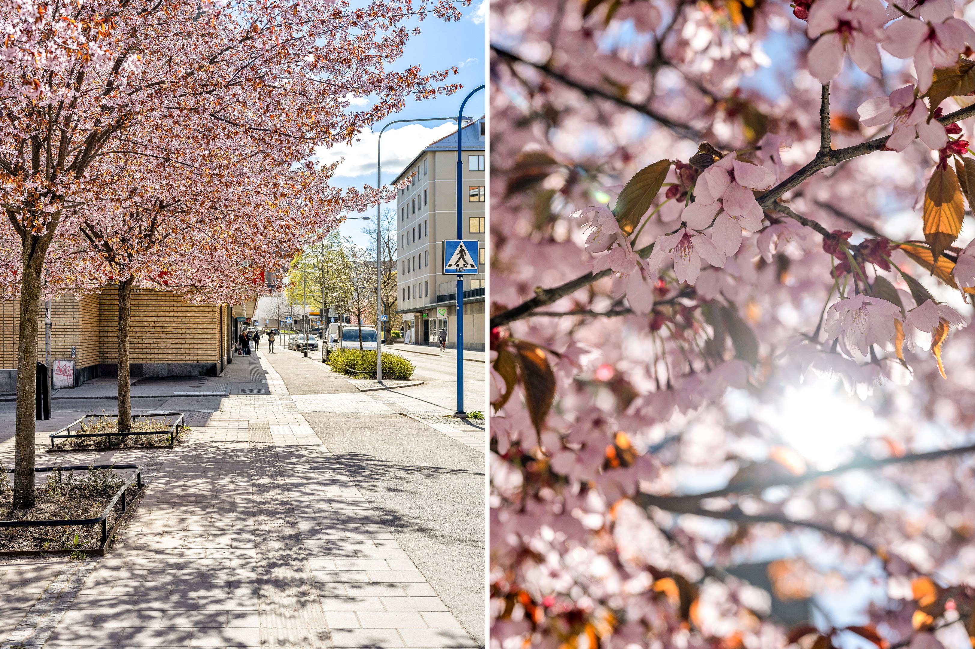 Bostadsbild från Odensgatan 16A, Såld i Främre Luthagen, Uppsala