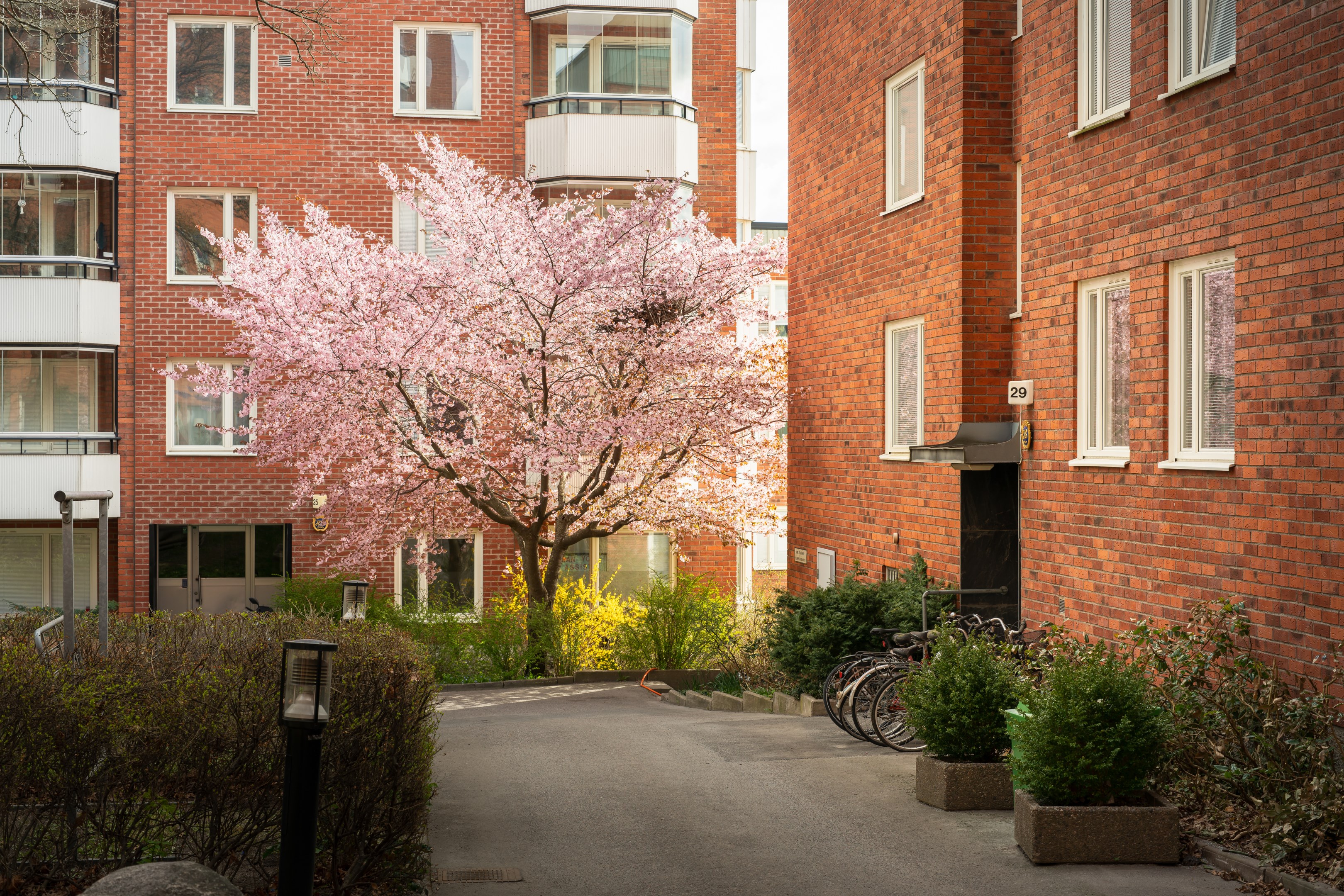 Bostadsbild från Alphyddevägen 29, Kommande i Alphyddan, Nacka