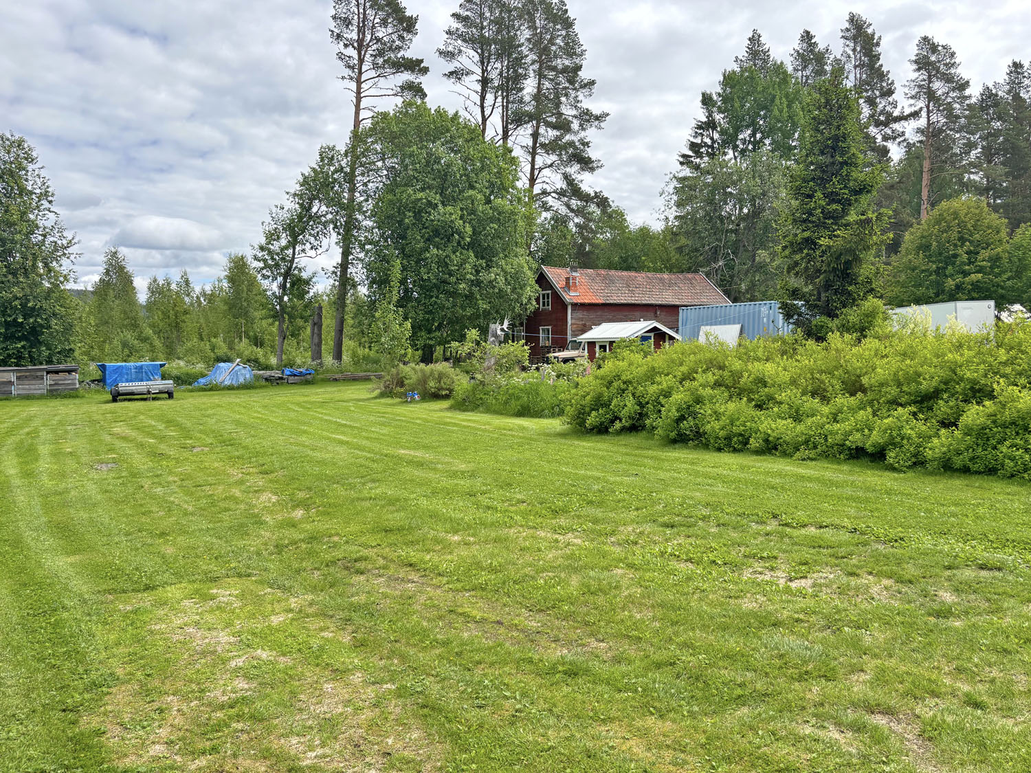 33-trädgården