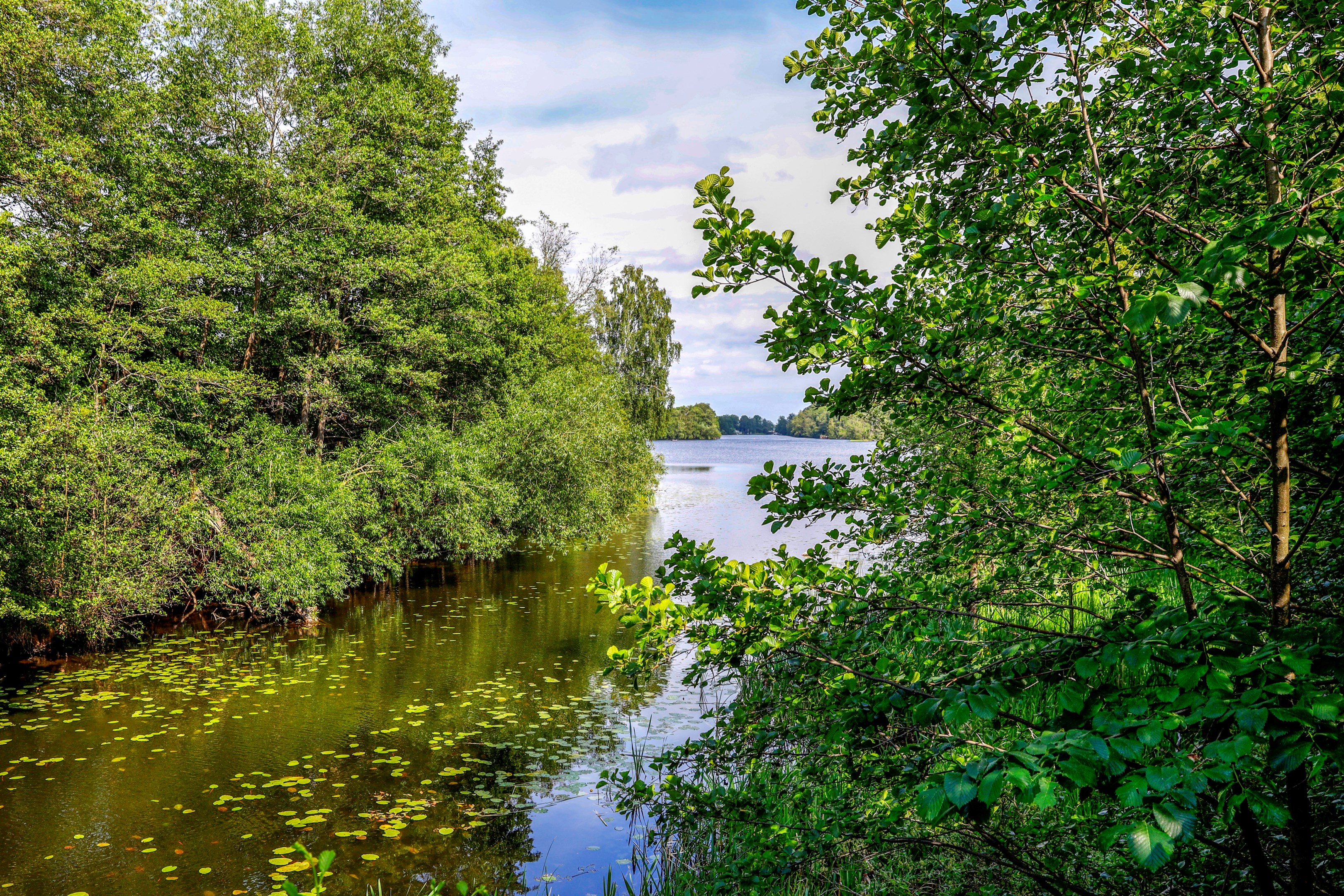 Bostadsbild från Birkavägen 10, Till salu i Birka, Nacka