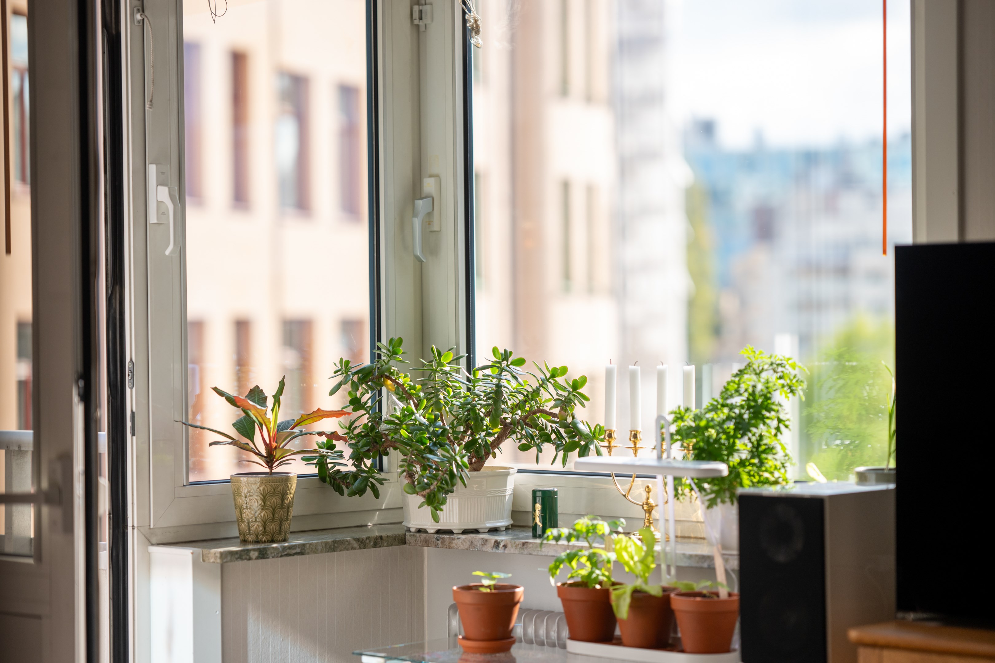 Bostadsbild från Kungsholmsgatan 13, Kommande i Kungsholmen, Stockholm