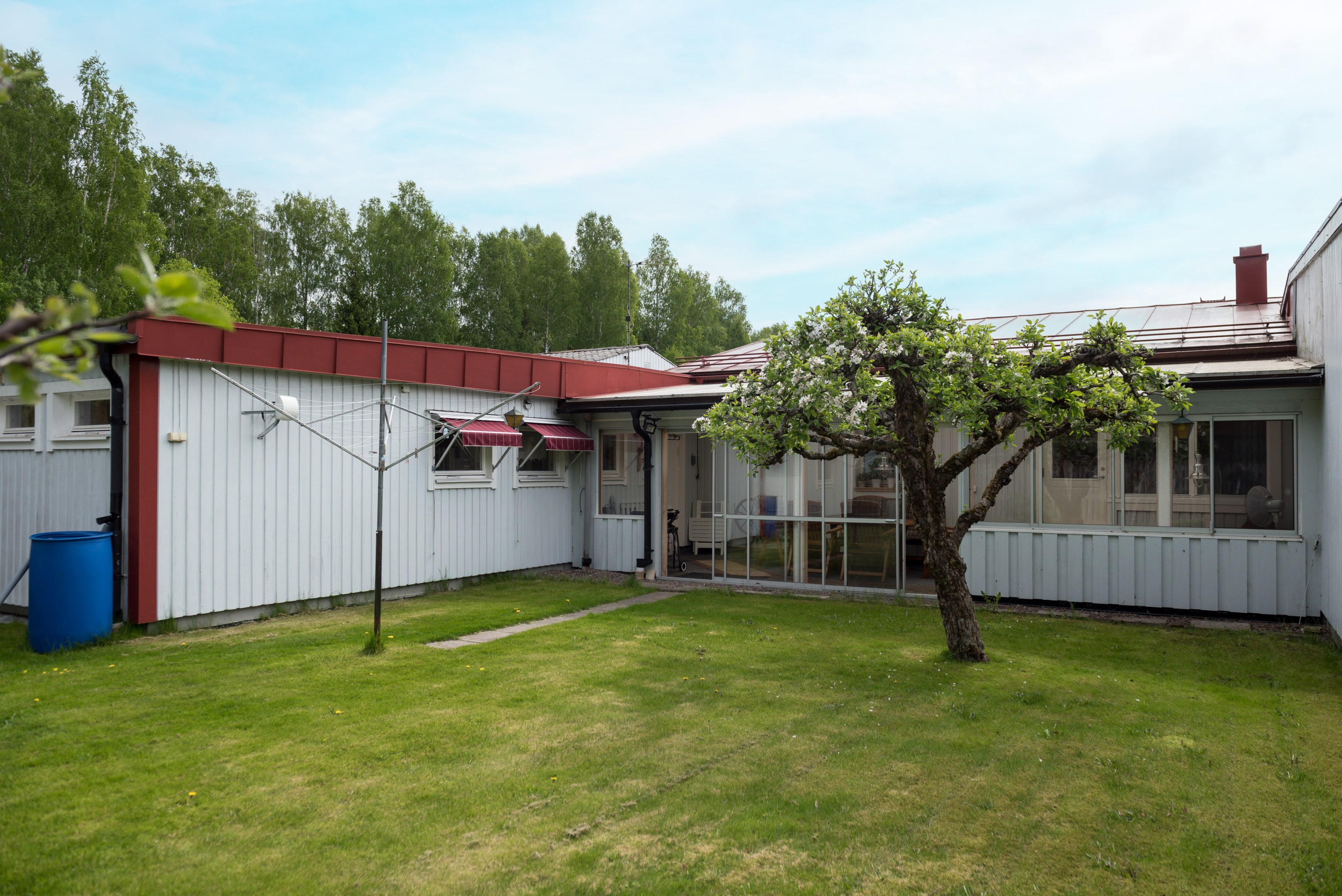 Trädgård