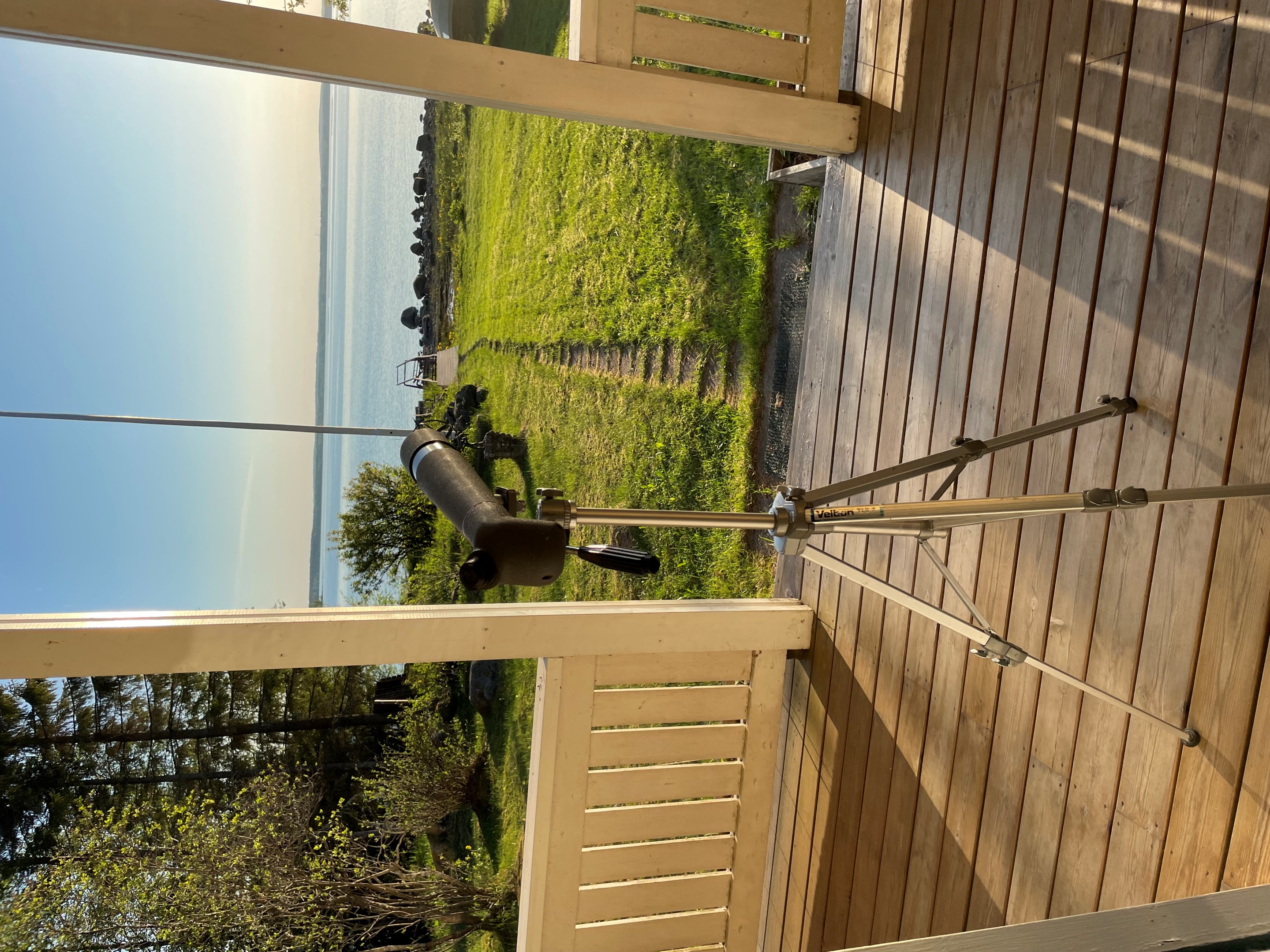 Säljarens sommarbild