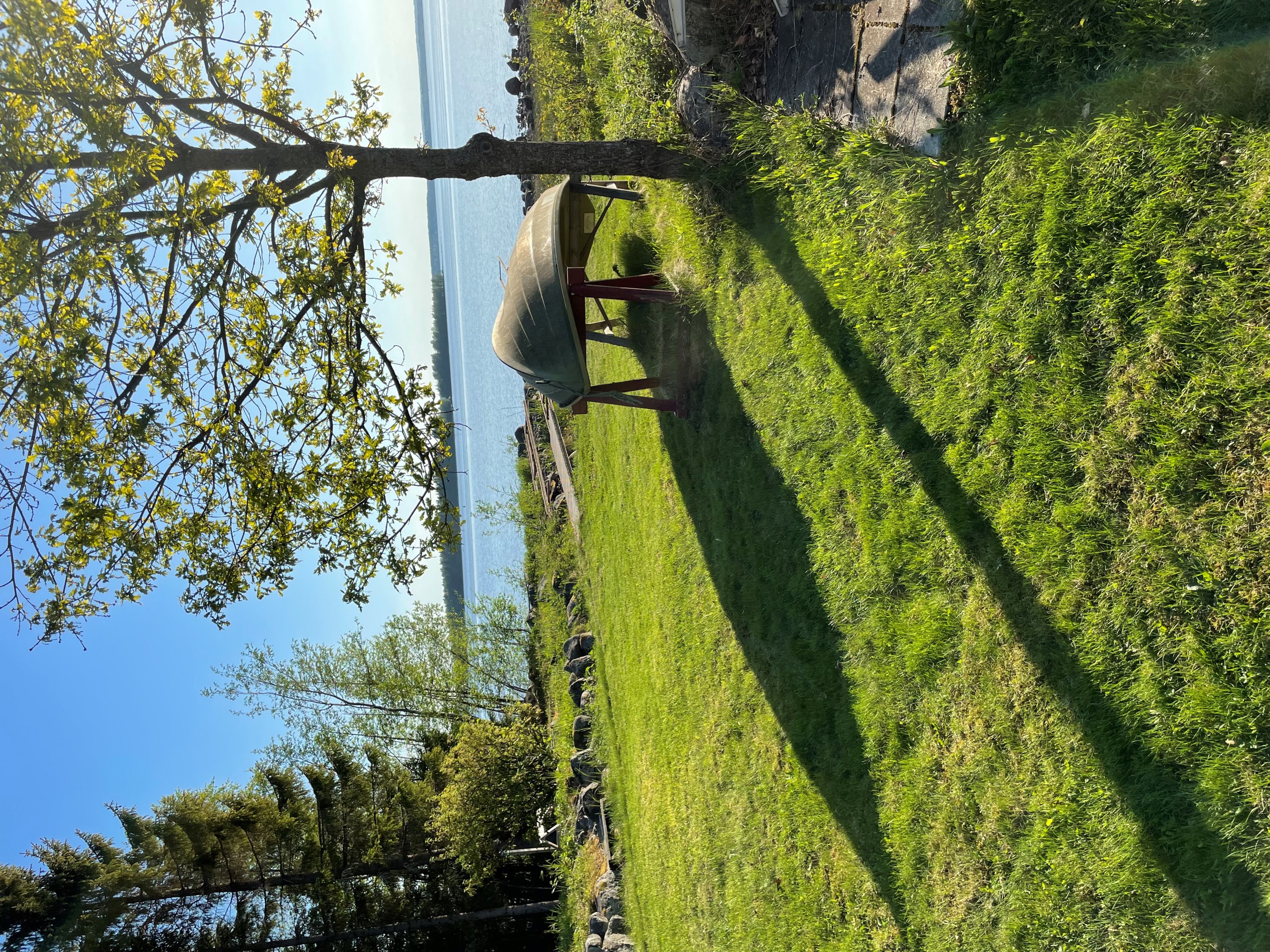 Säljarens sommarbild