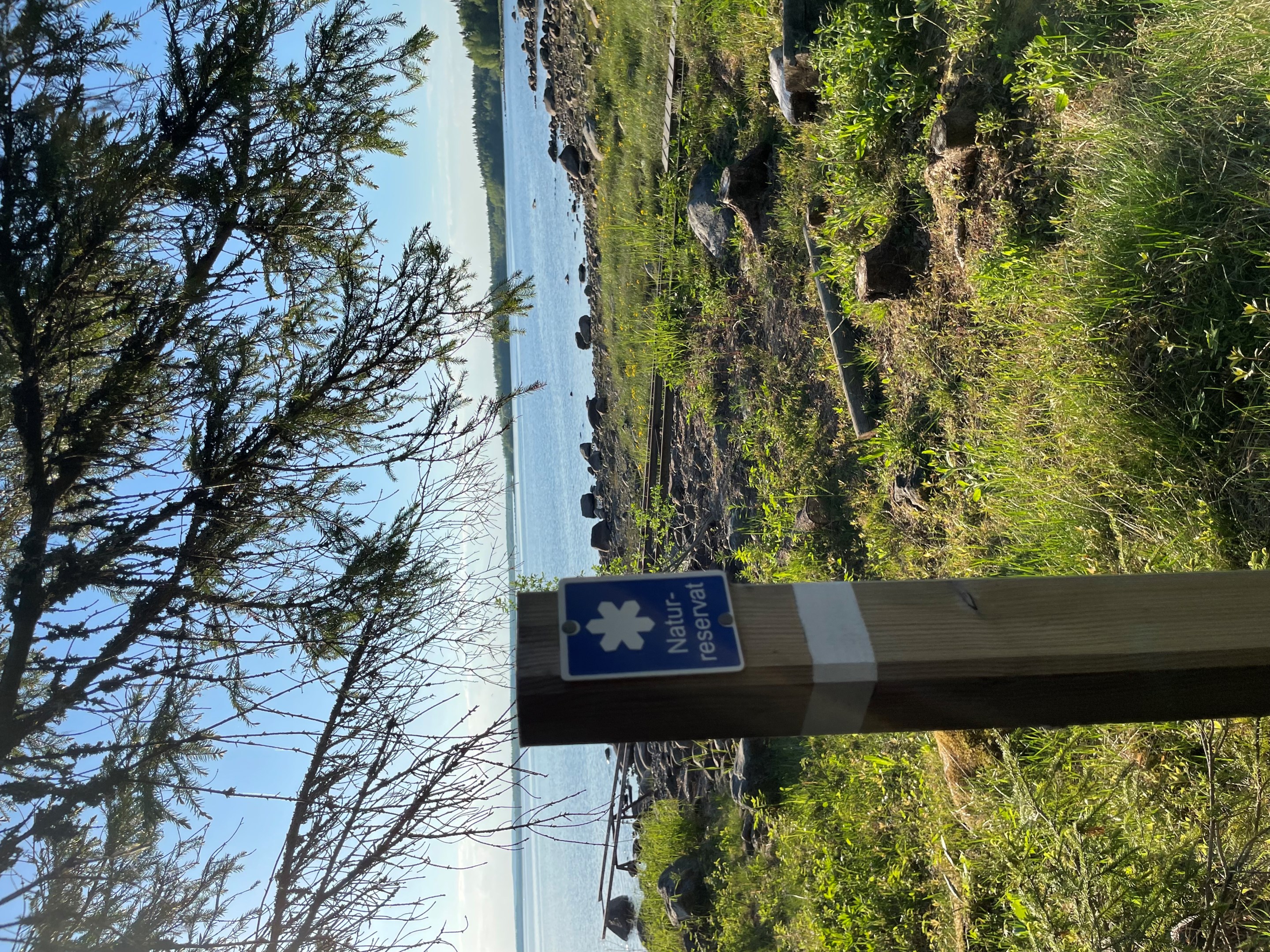 Säljarens sommarbild