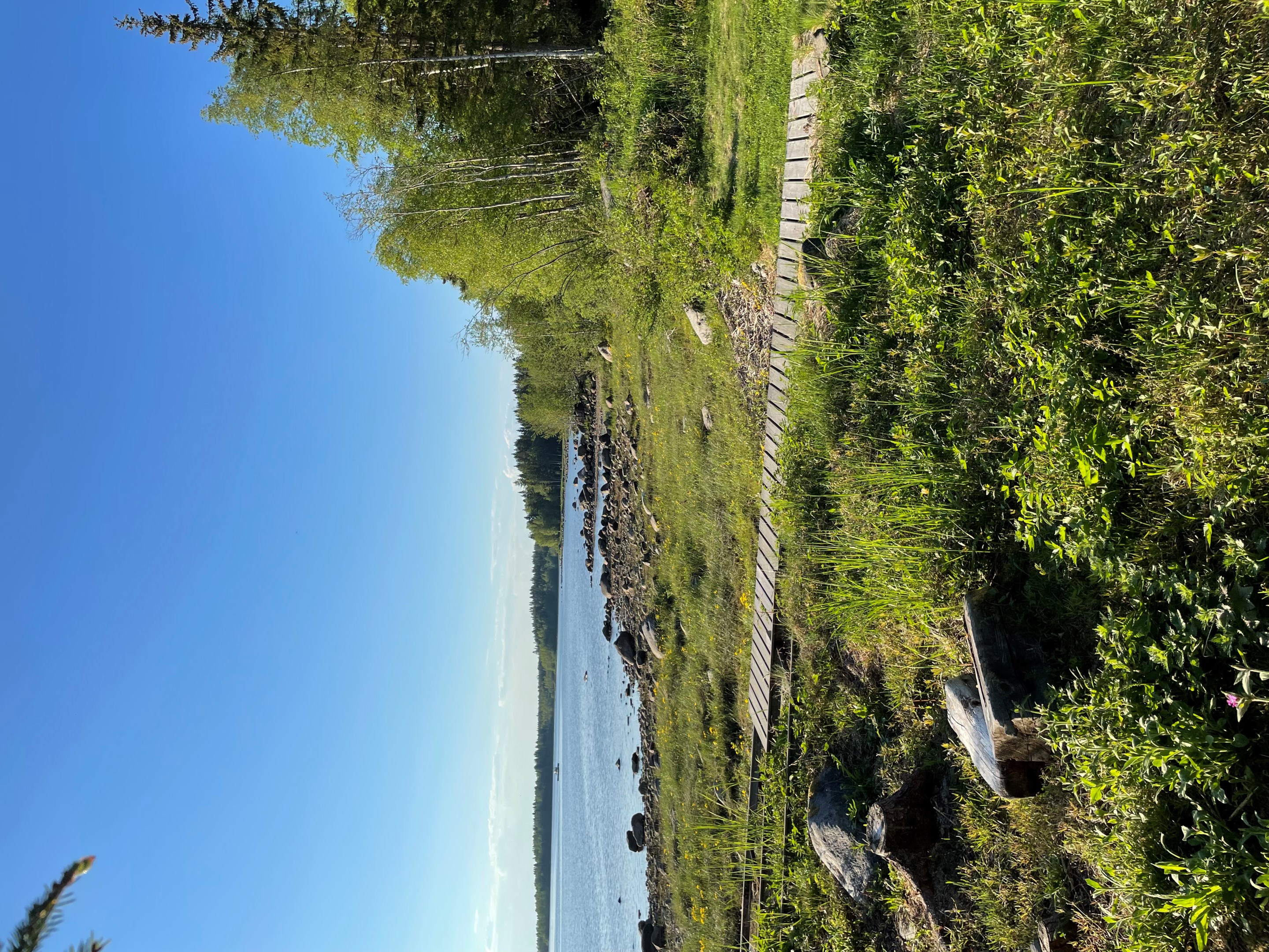 Säljarens sommarbild