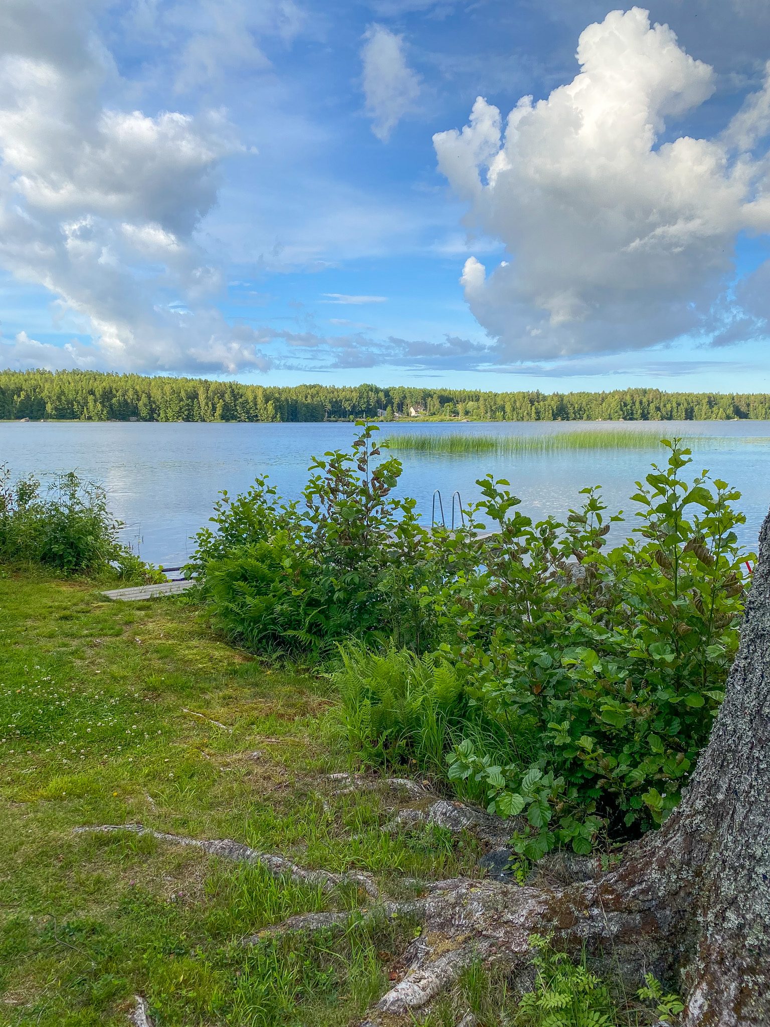 Säljarens bilder (badplats)