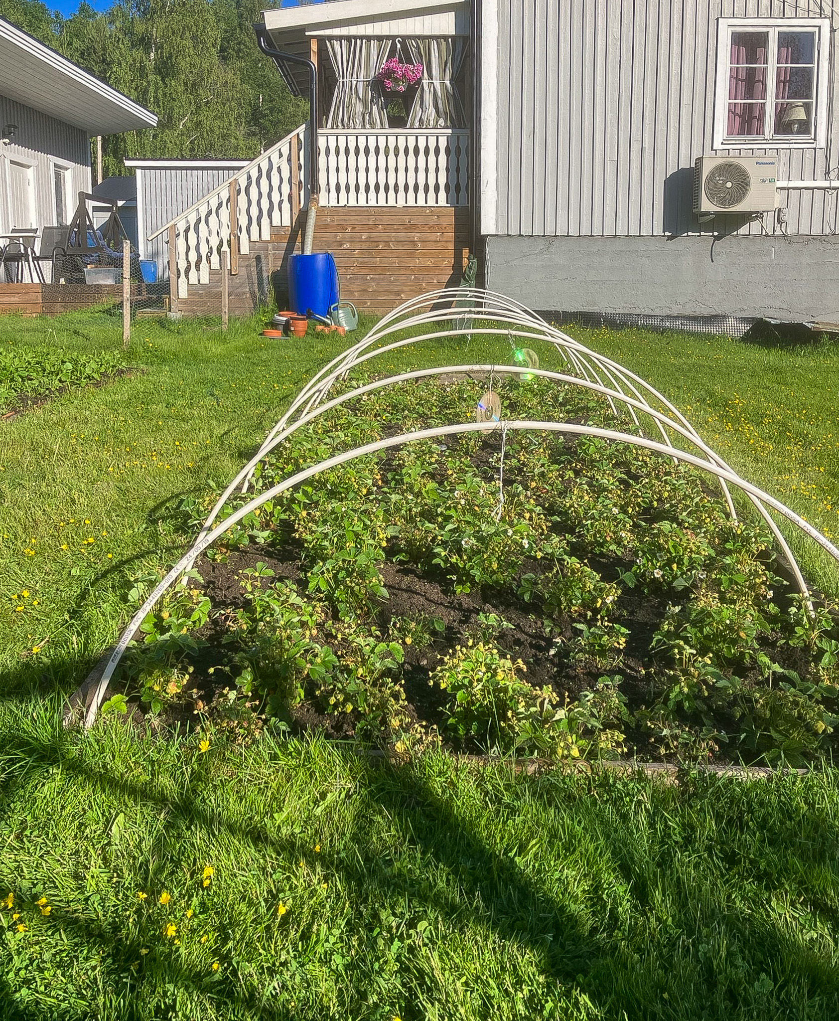 Säljarens sommarbild