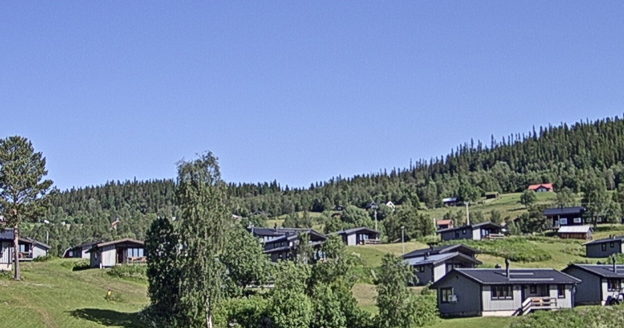 En oas uppe på fjället