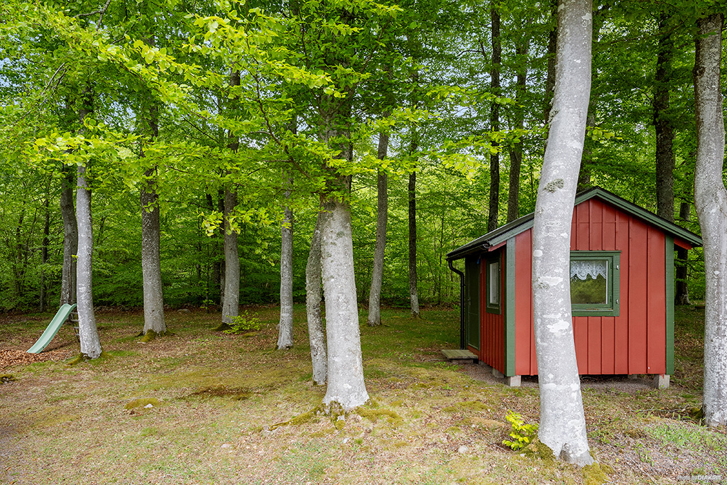 Bokskog och gäststuga