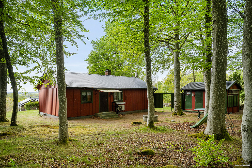 Vacker bokskog