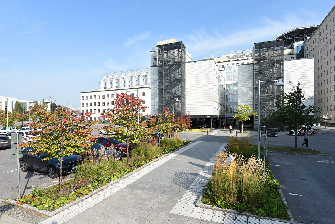 NUS