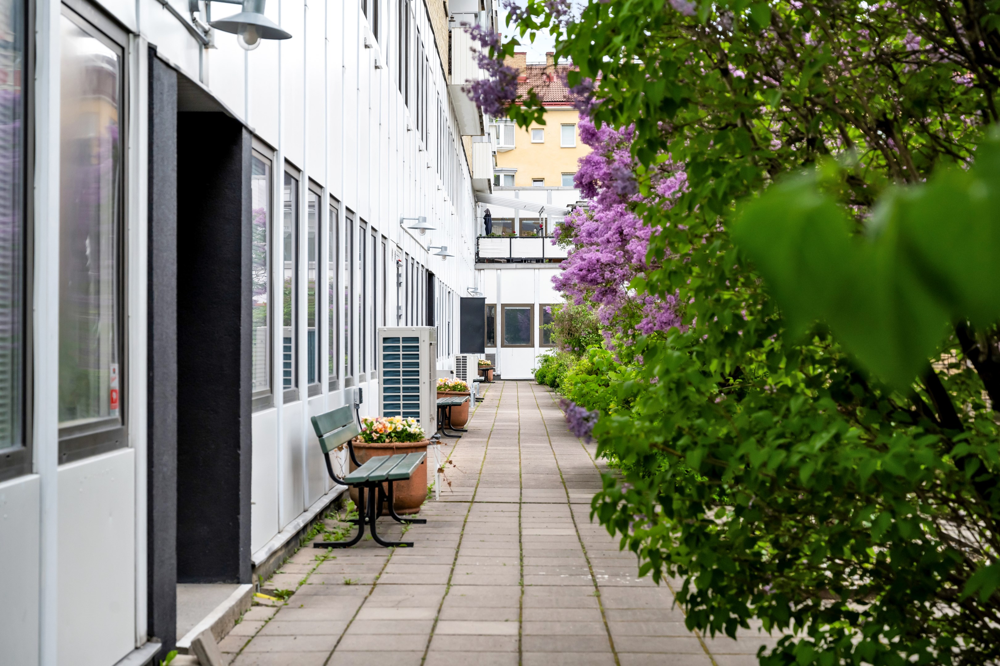 Bostadsbild från Sturegatan 2B, Till salu i Främre Luthagen, Uppsala