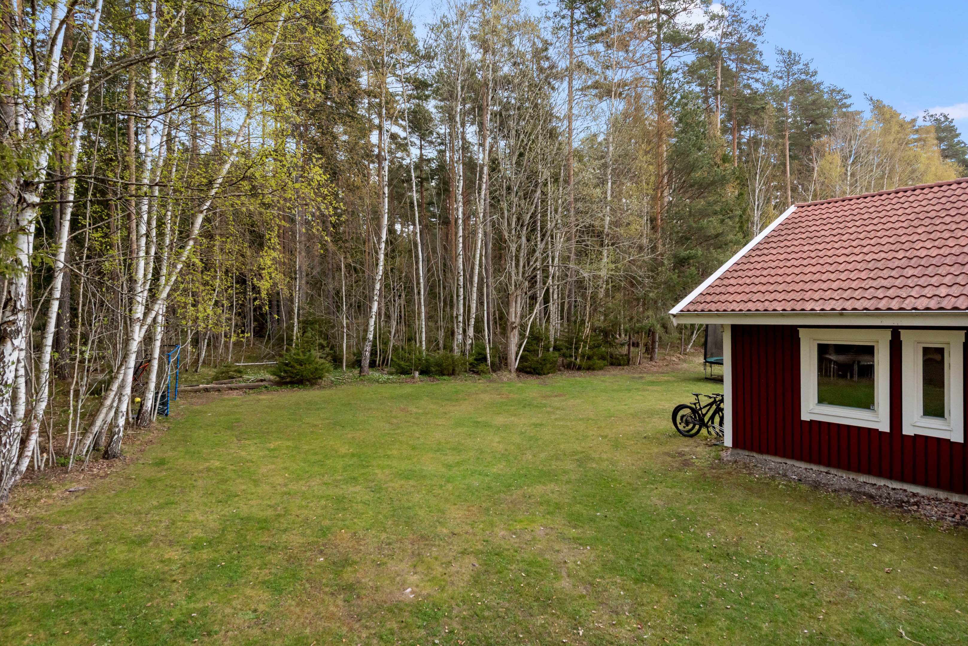 Tomten mot skogen