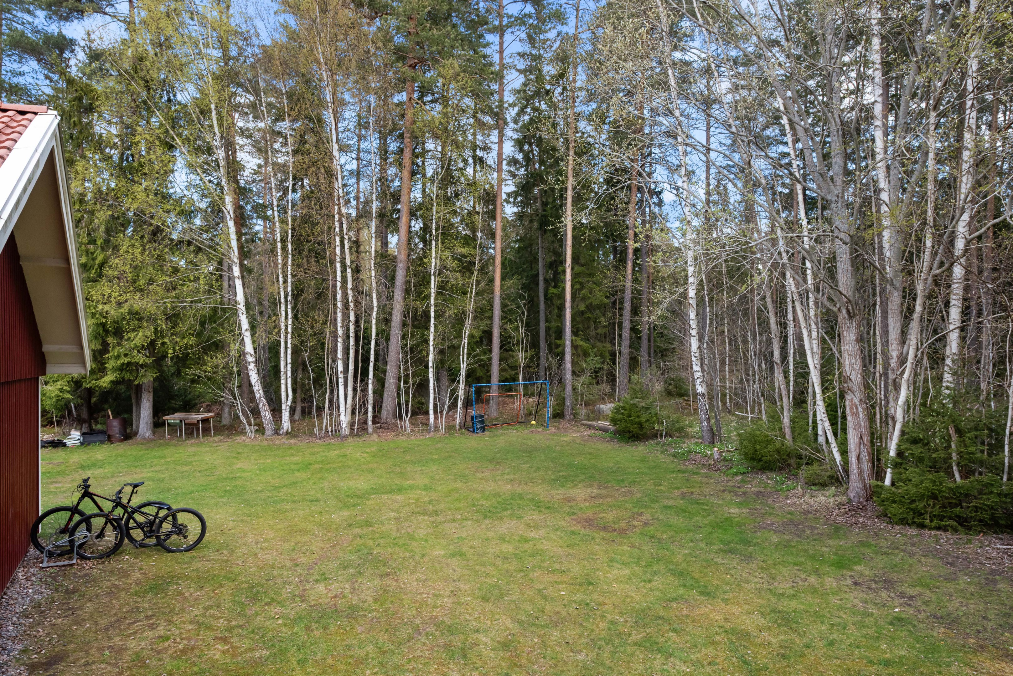Granne med skogen