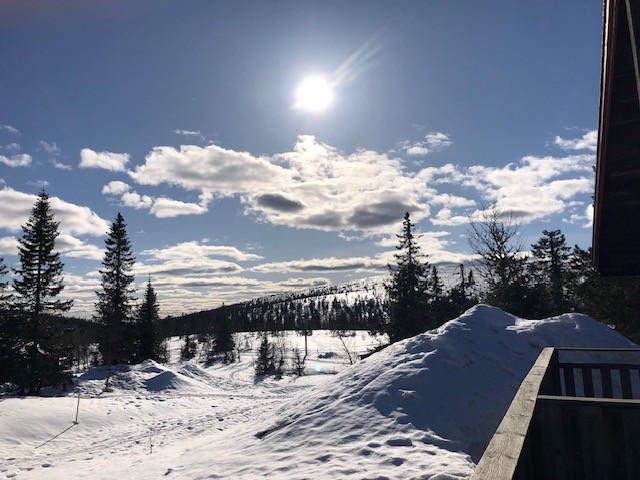 Från altanen Hus 3V