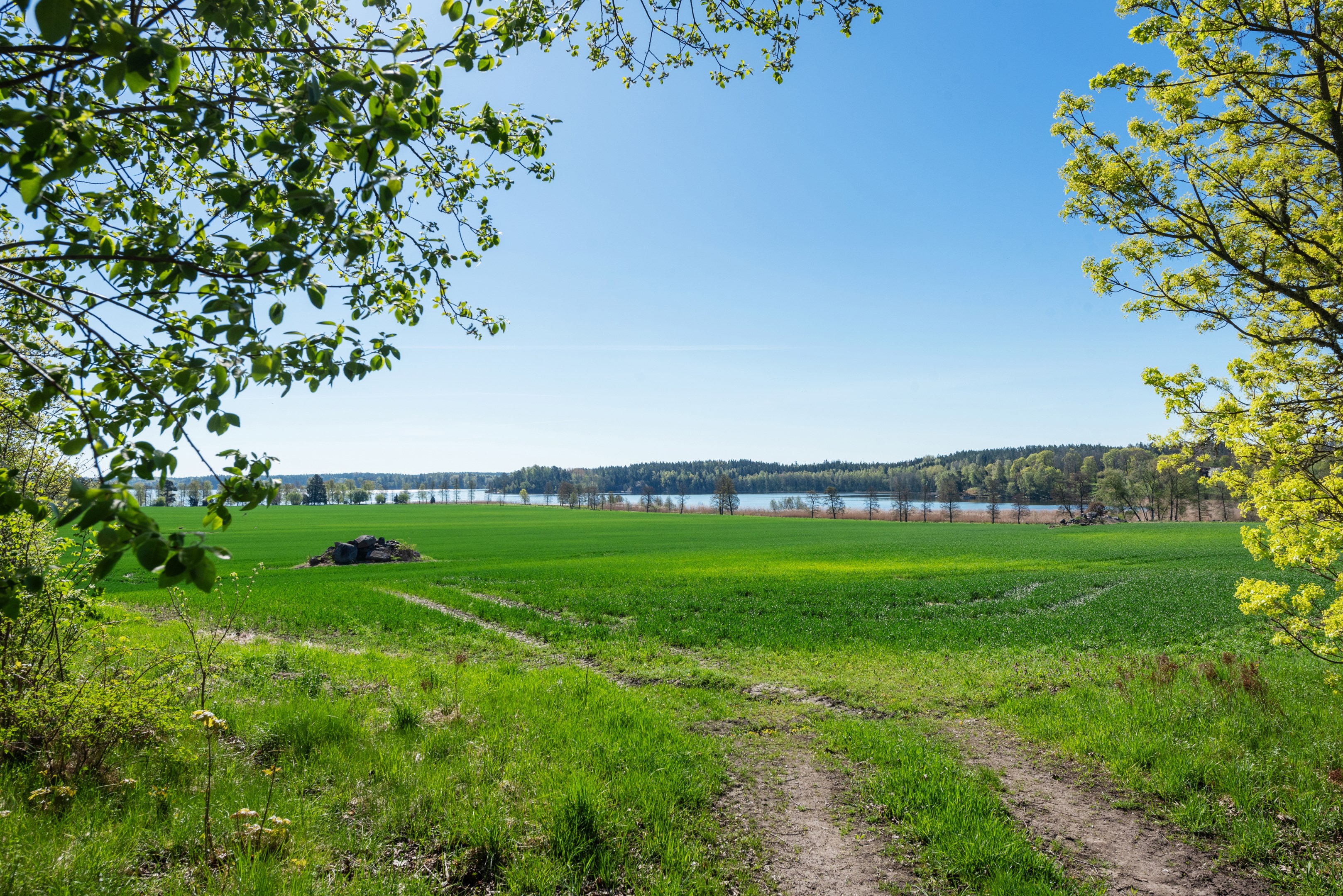 Närområdet runt Skedviken