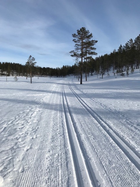 S3