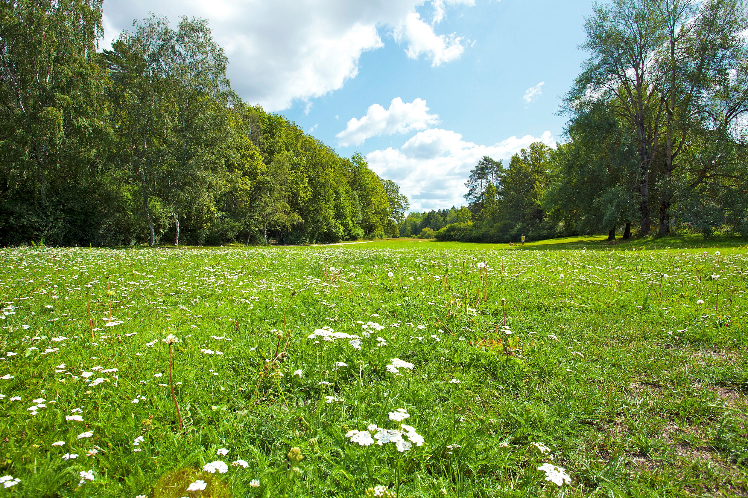 Bostadsbild från Sedumbacken 40, Till salu i Bromma - Riksby, Stockholm
