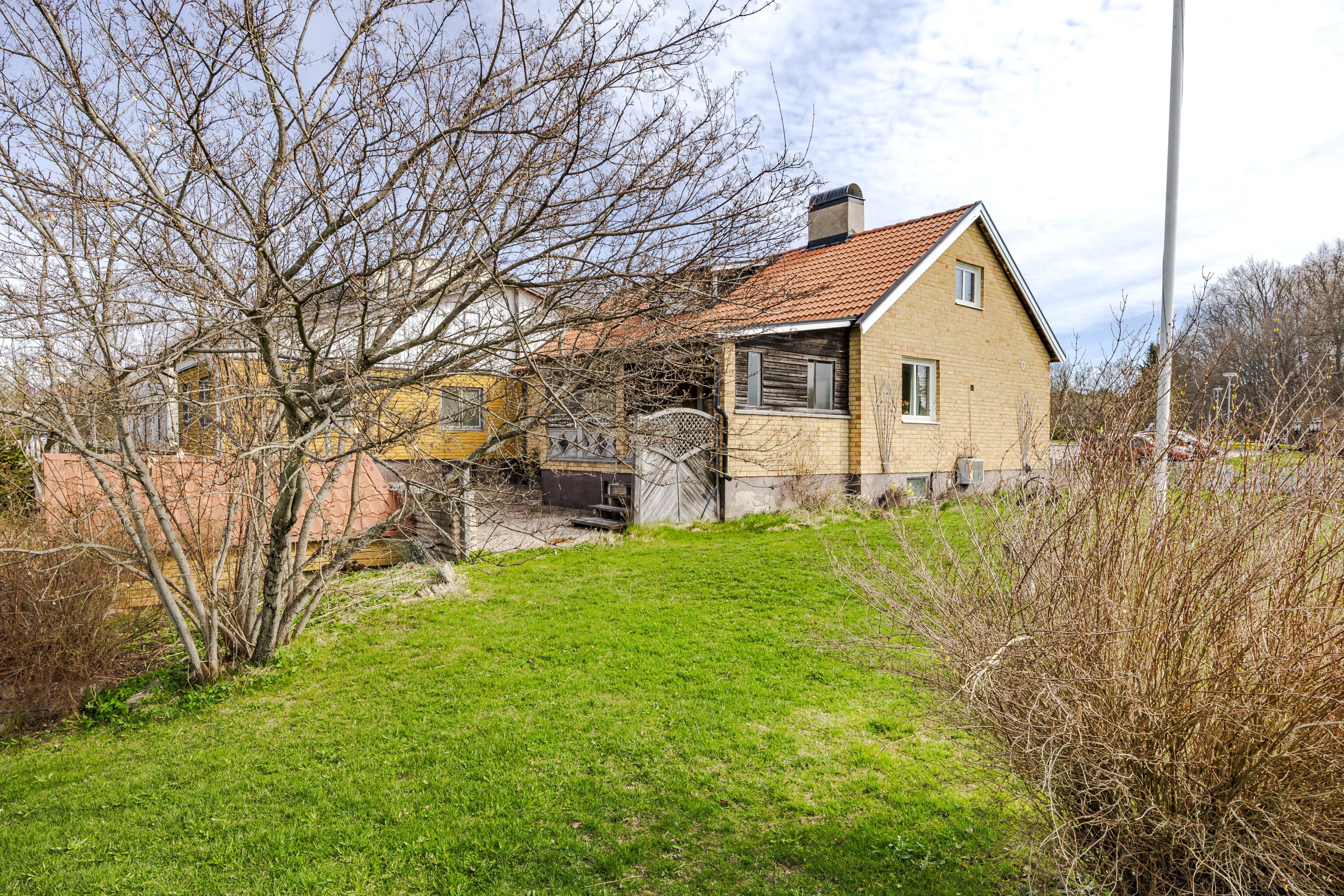 Trädgård
