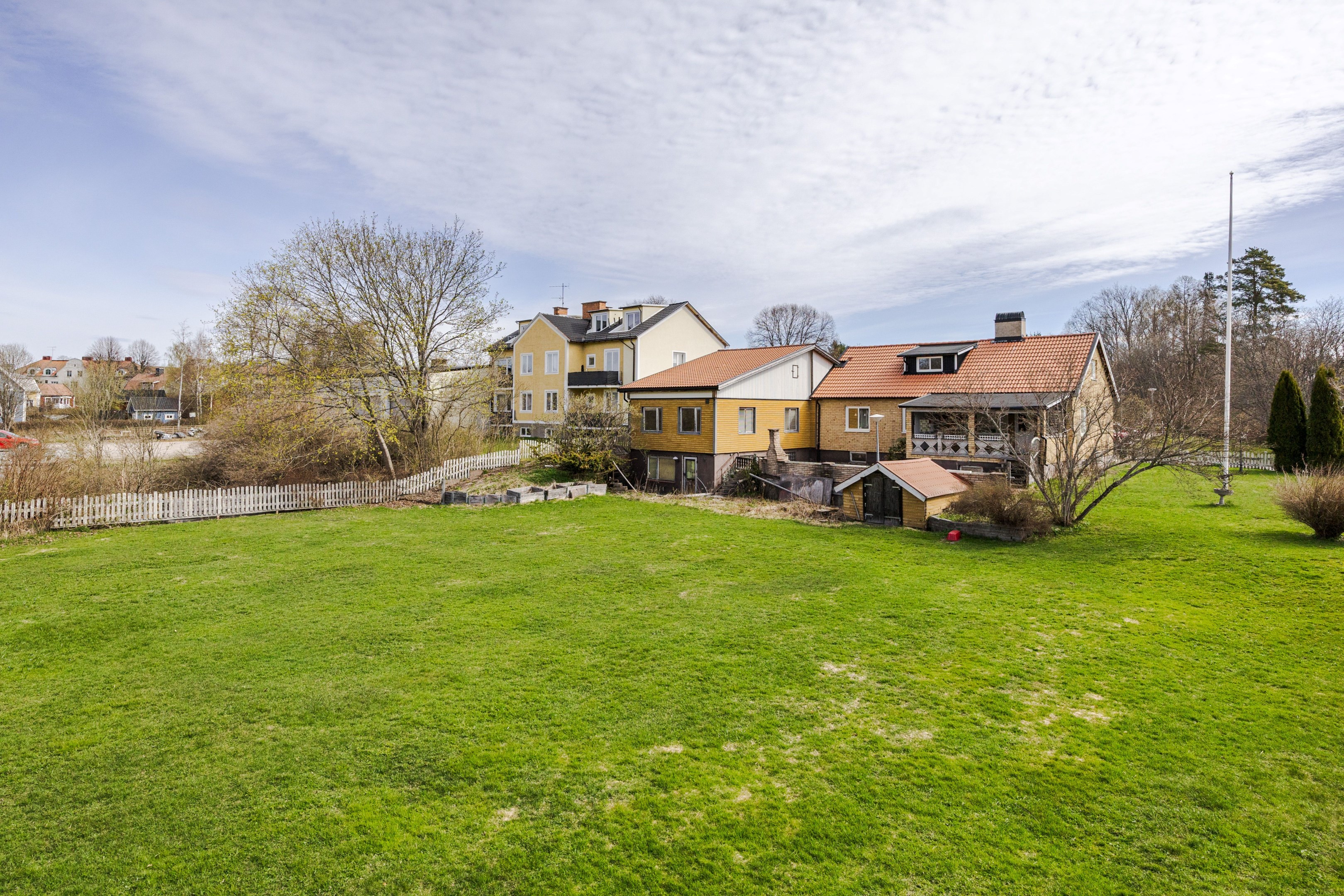Trädgård