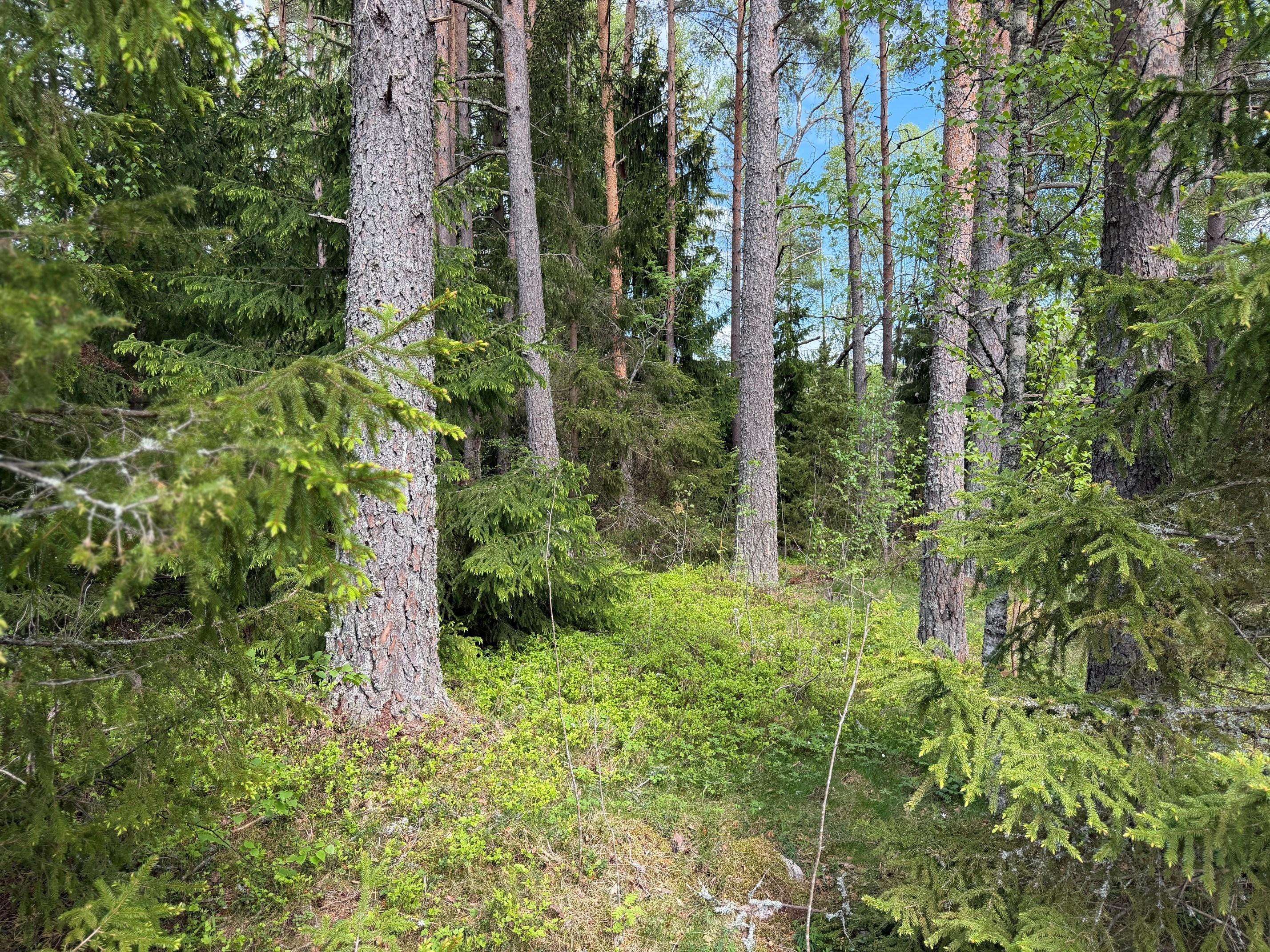 Bostadsbild från Vännstarilund 1, Till salu i Björklinge, Uppsala