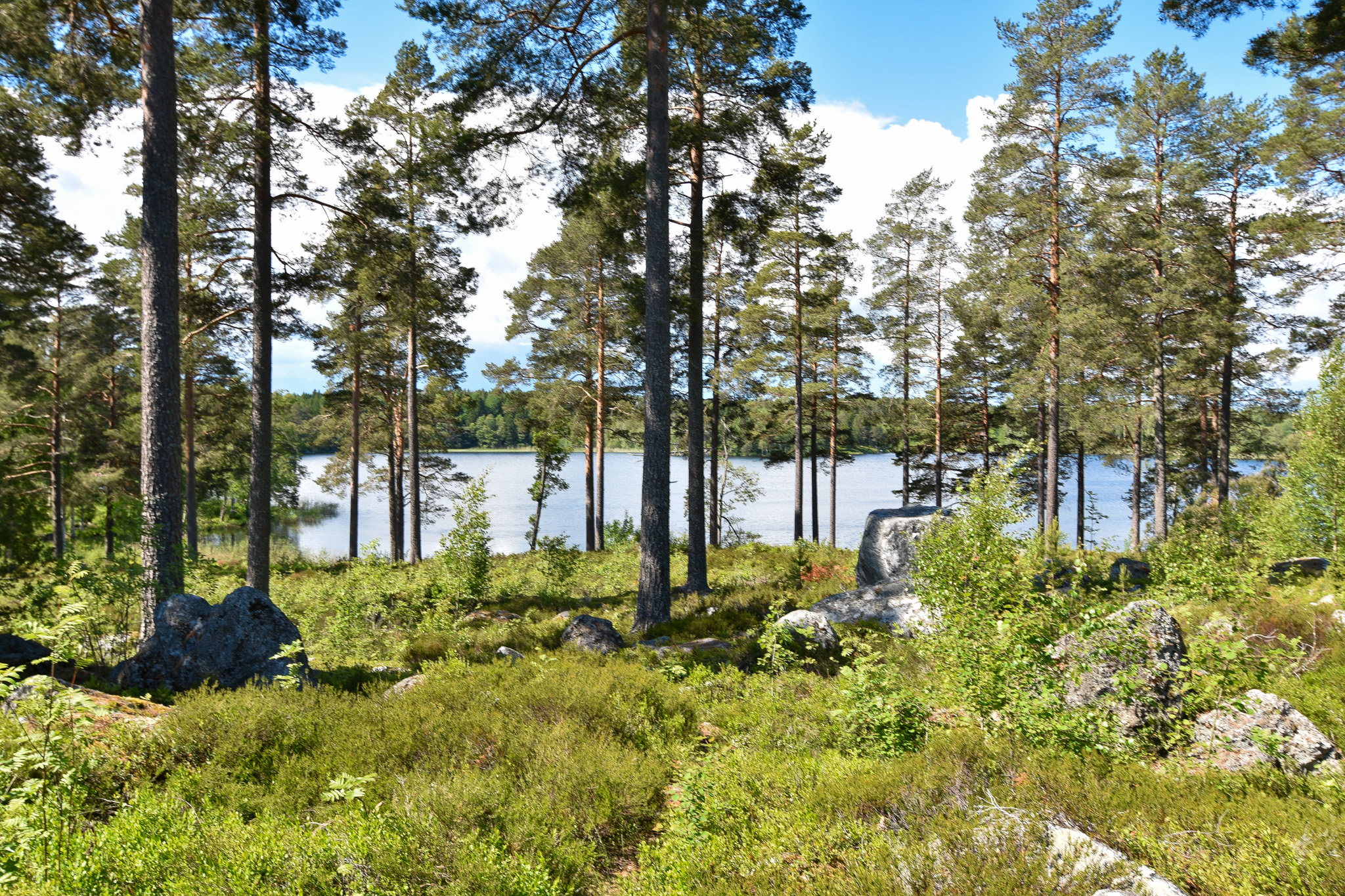 Utsikt mot Färssjön