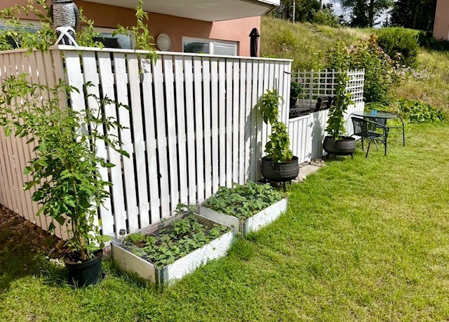 Säljarens egna bild