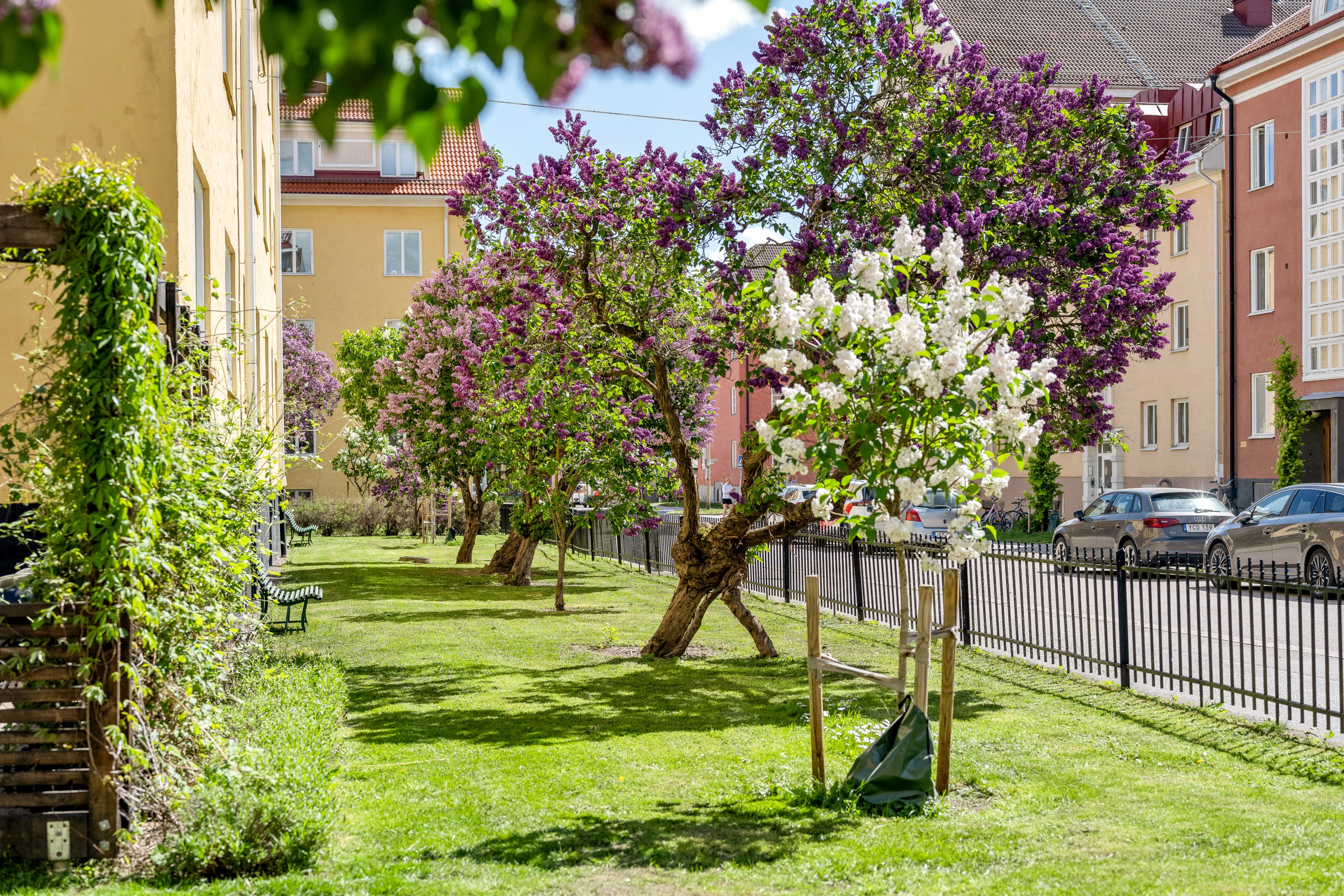 Bostadsbild från Höganäsgatan 7B, Kommande i Höganäs, Uppsala