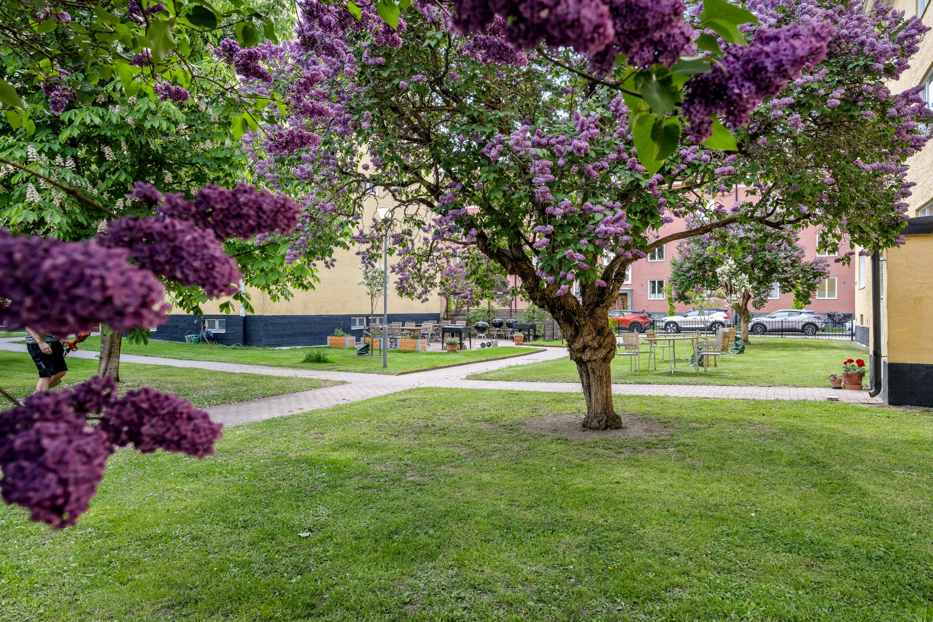 Bostadsbild från Höganäsgatan 7B, Kommande i Höganäs, Uppsala