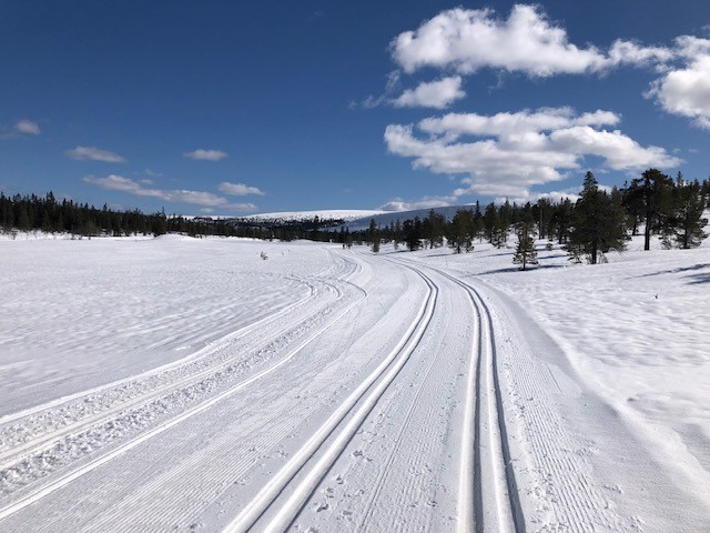 Längdspår vid huset och till Högis.