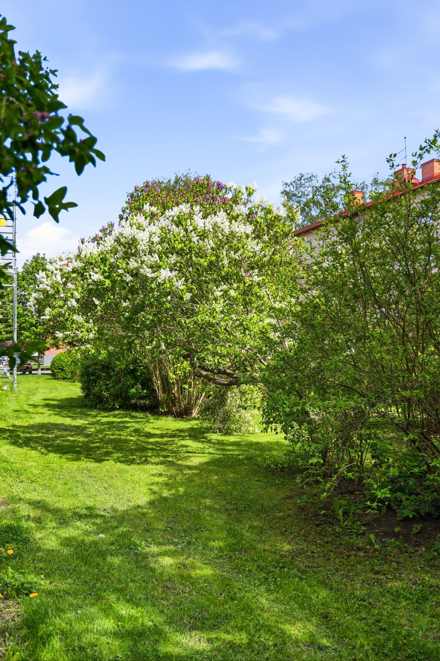 Bostadsbild från Folkungagatan 10A, Kommande i Svartbäcken, Uppsala