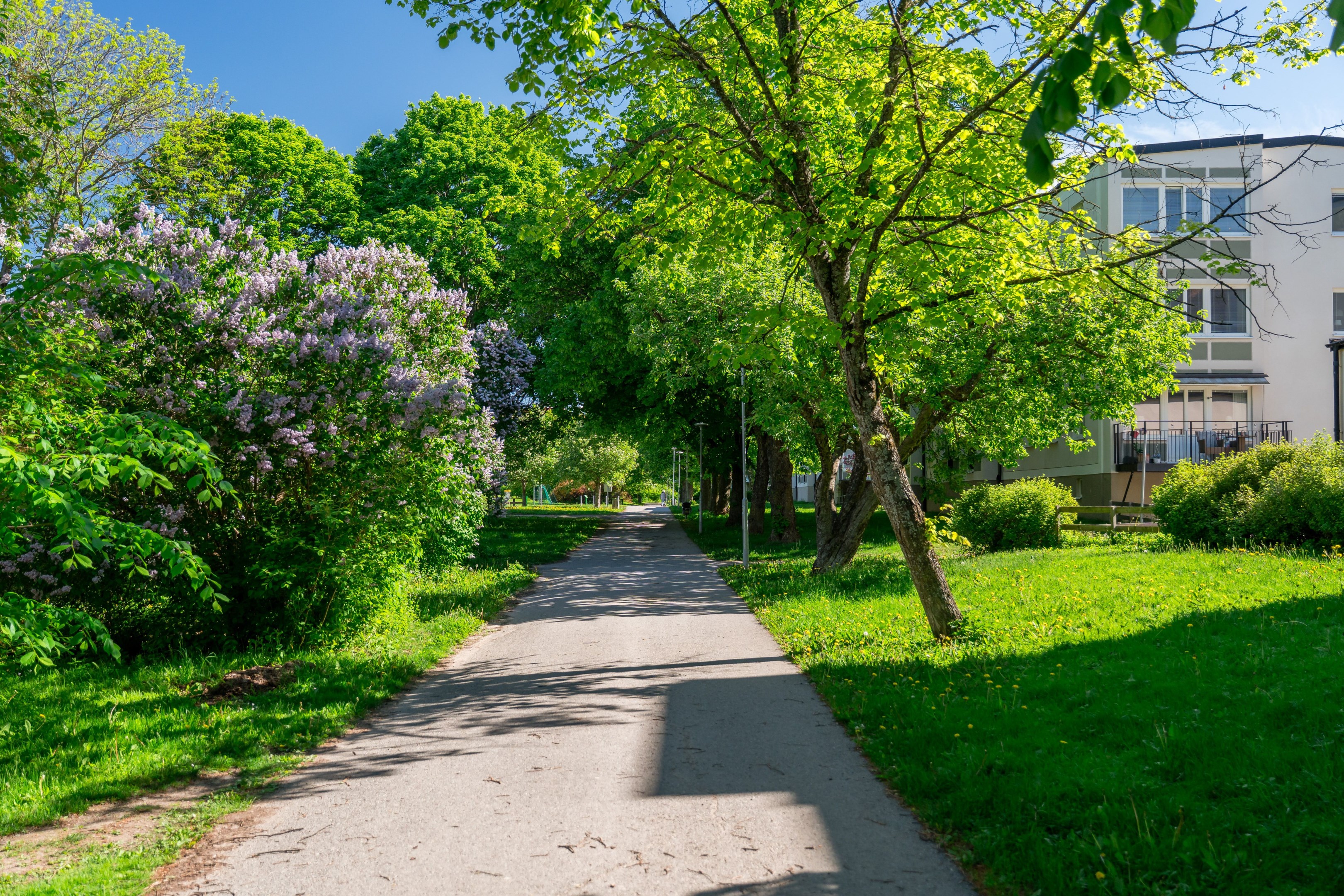 Bostadsbild från Murargatan 20A, Kommande i Salabacke, Uppsala