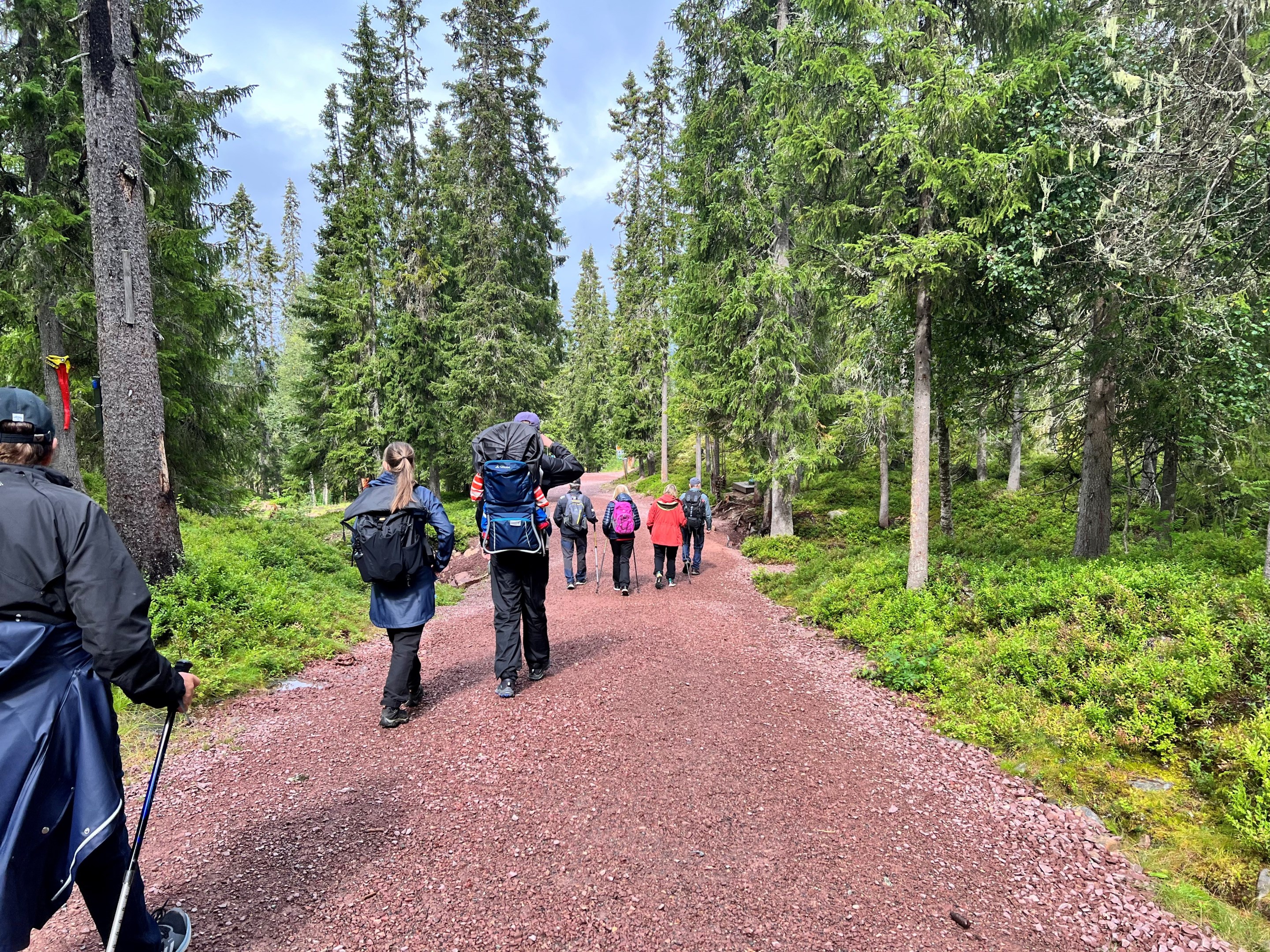 Fjällvandrring