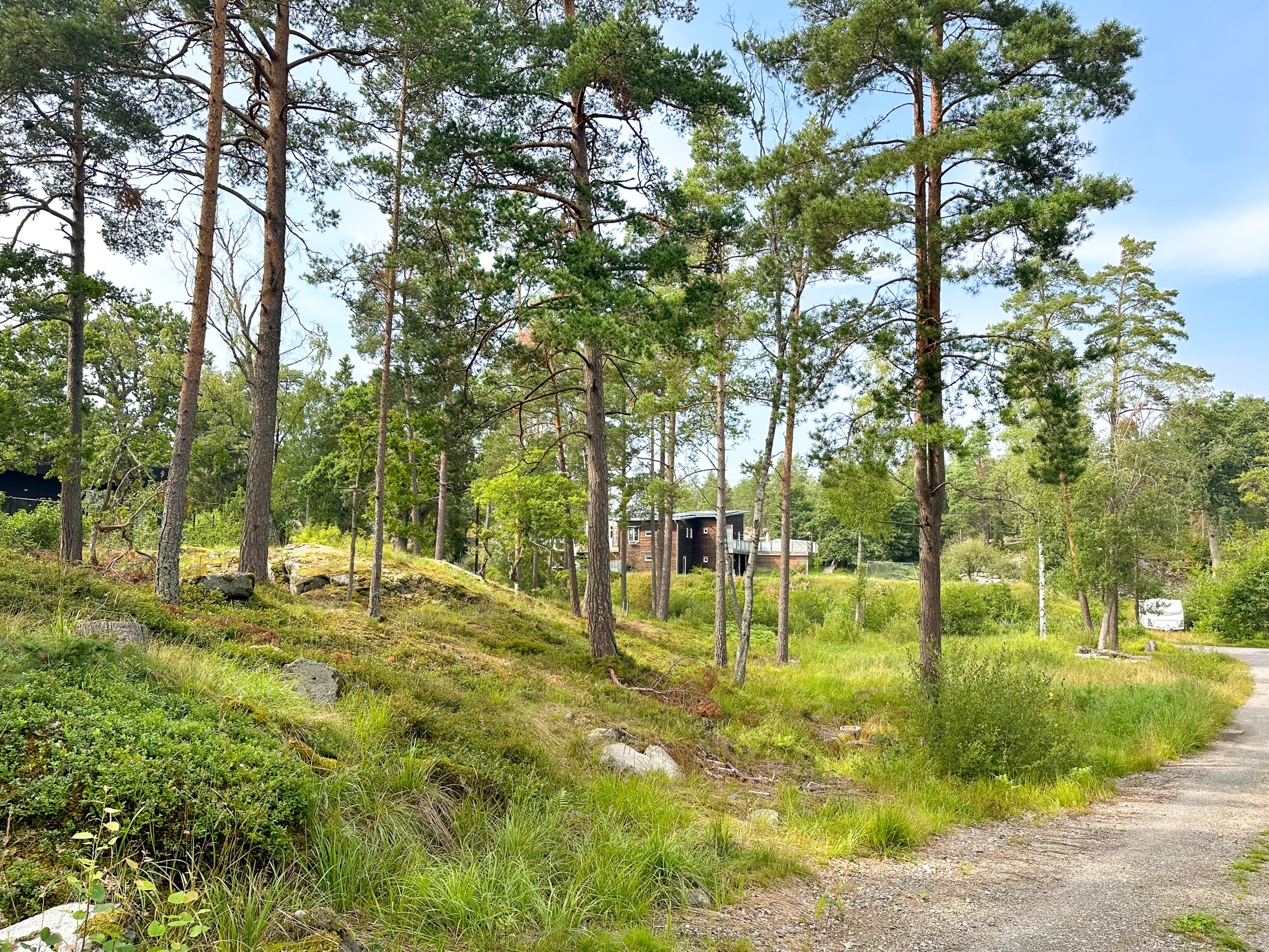 Tomten i vinkel från tomtgräns i nordöst