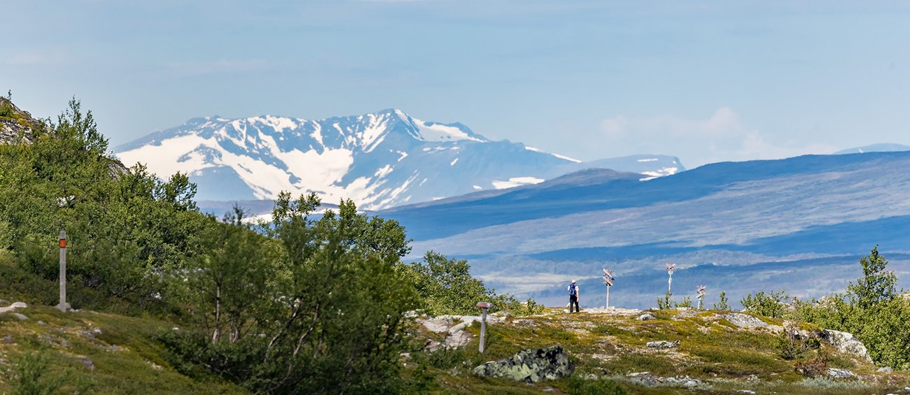 Sommar, sommar