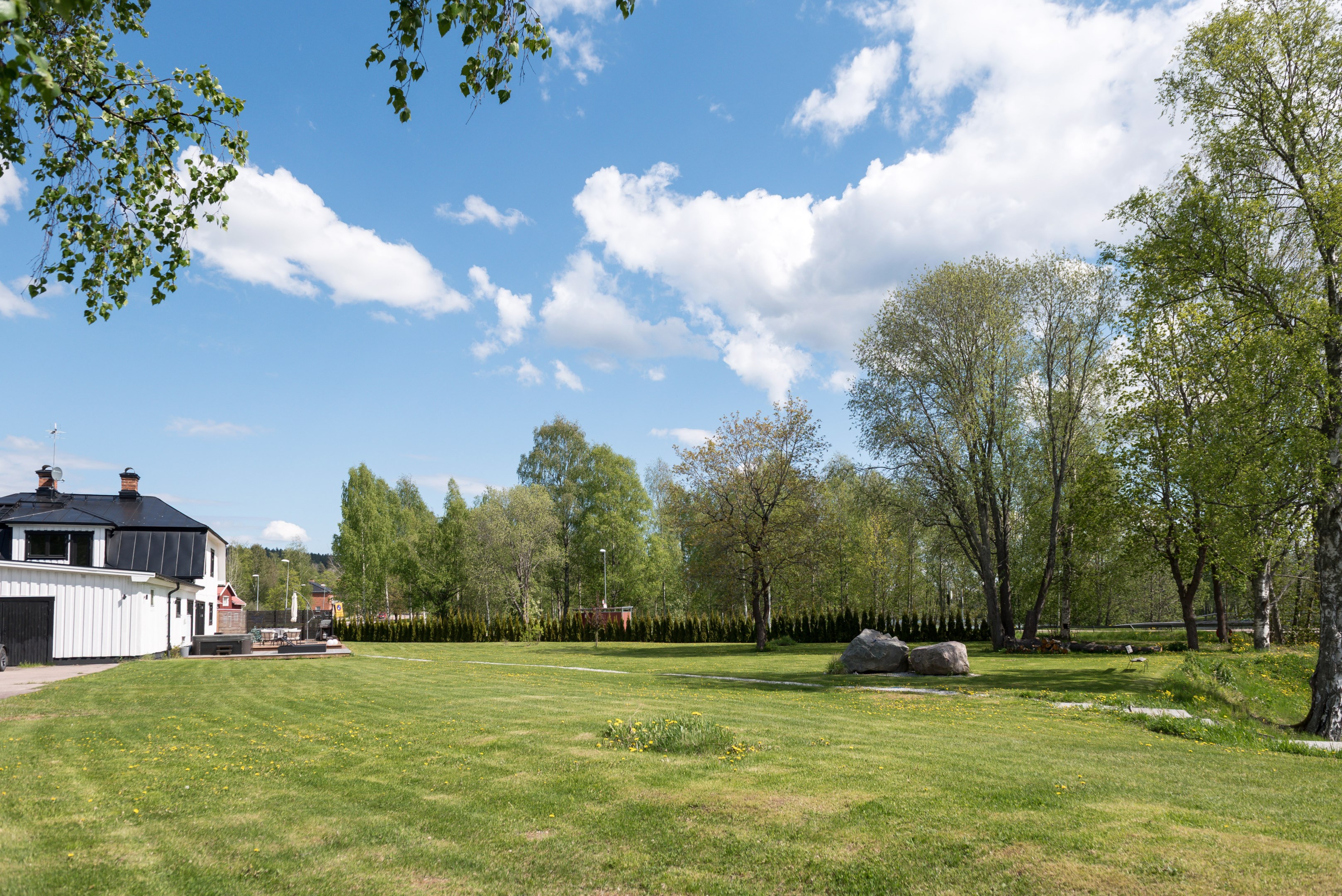 Trädgård