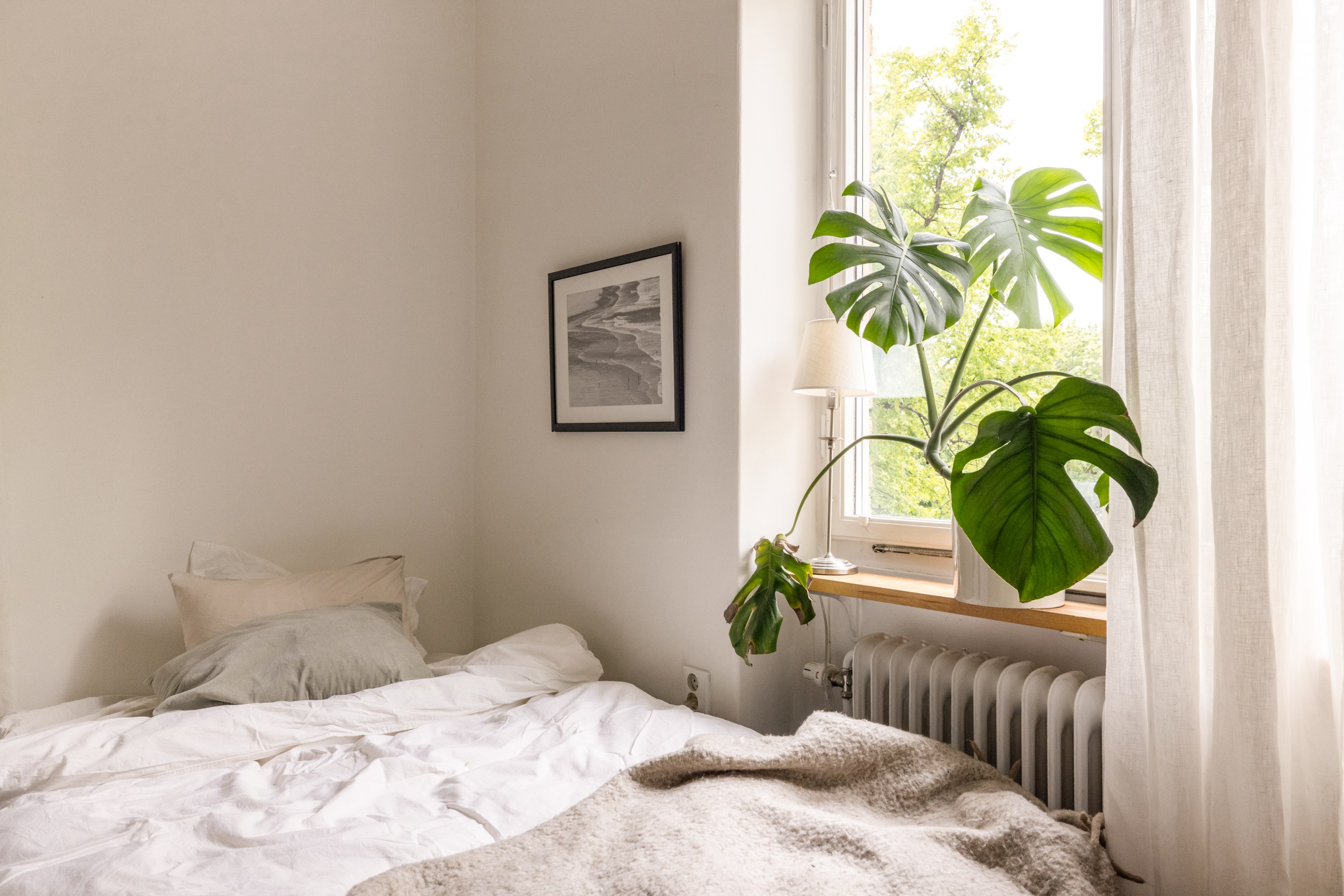 Bostadsbild från Luthagsesplanaden 15C, Till salu i Främre Luthagen, Uppsala