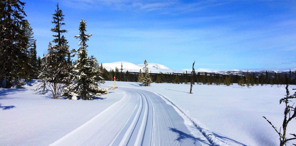 48. 300 KM LÄNGDSPÅR