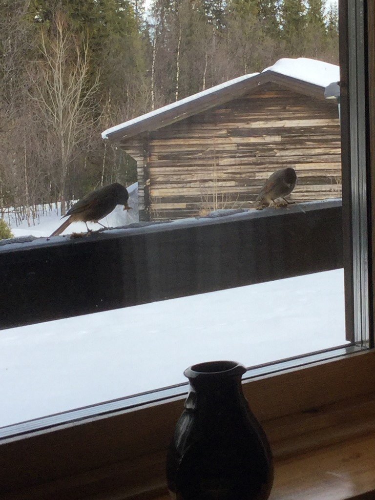 Välkommet besök