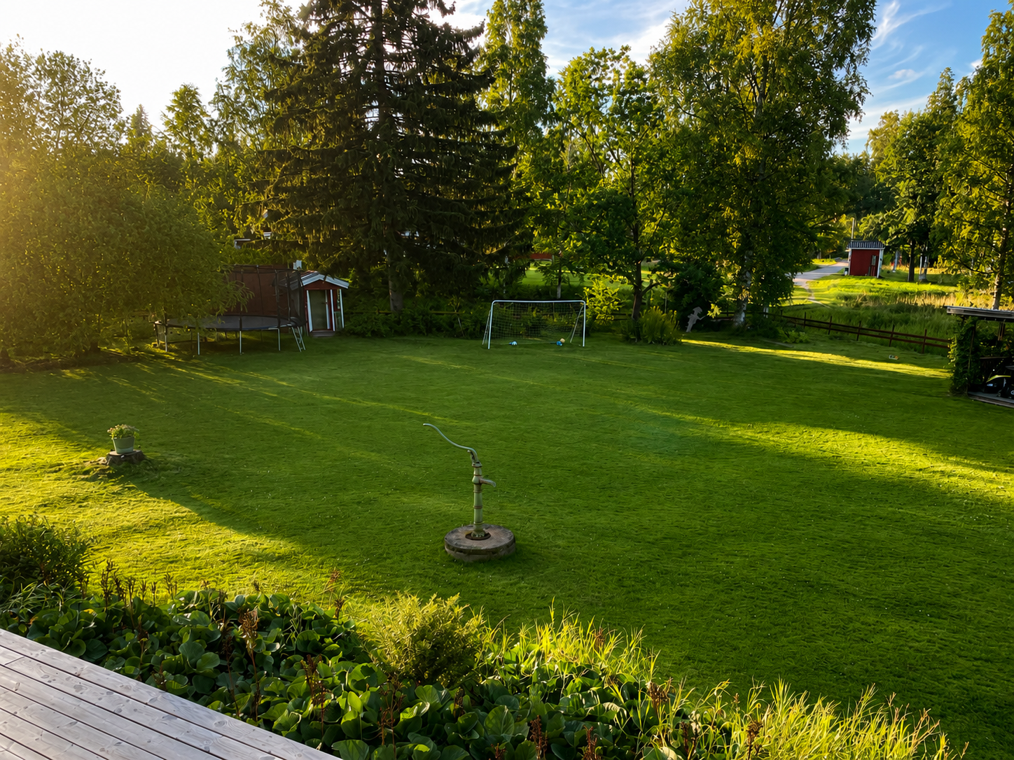 Trädgård