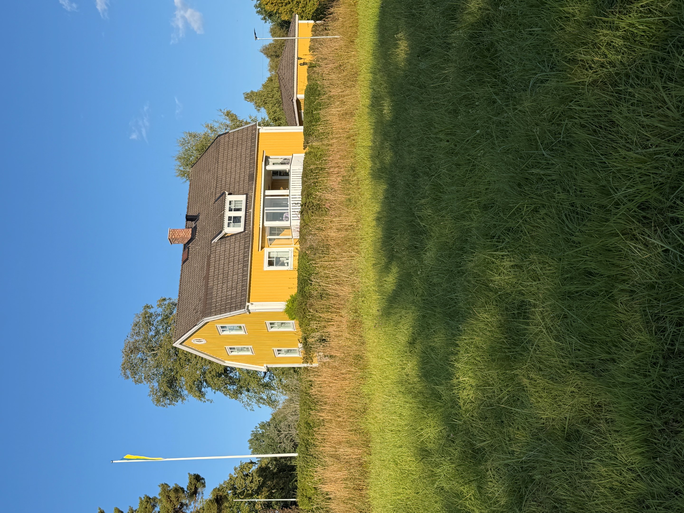 Blick nerifrån sjön och upp