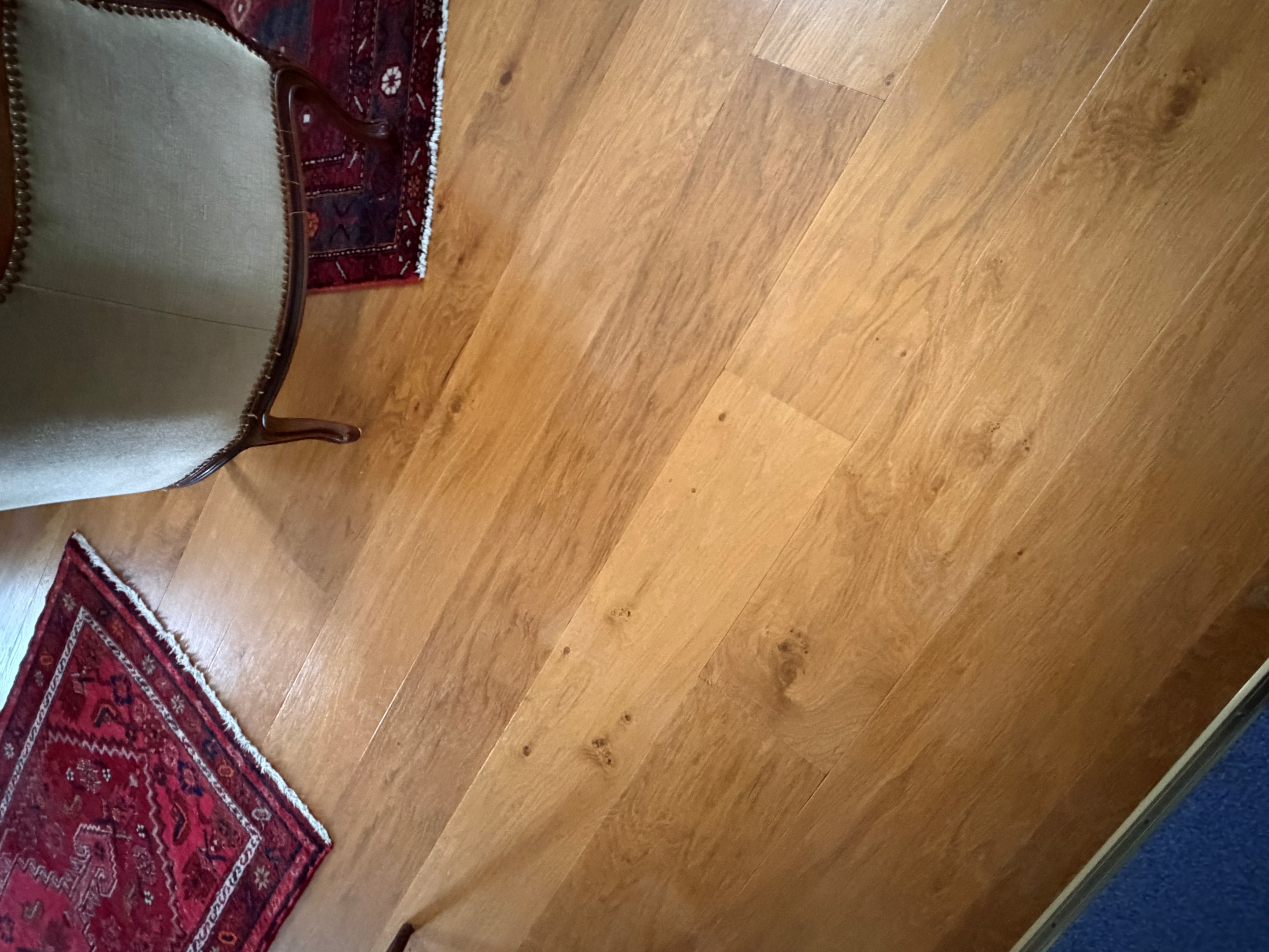 Exklusivt Rappgo ekparkett