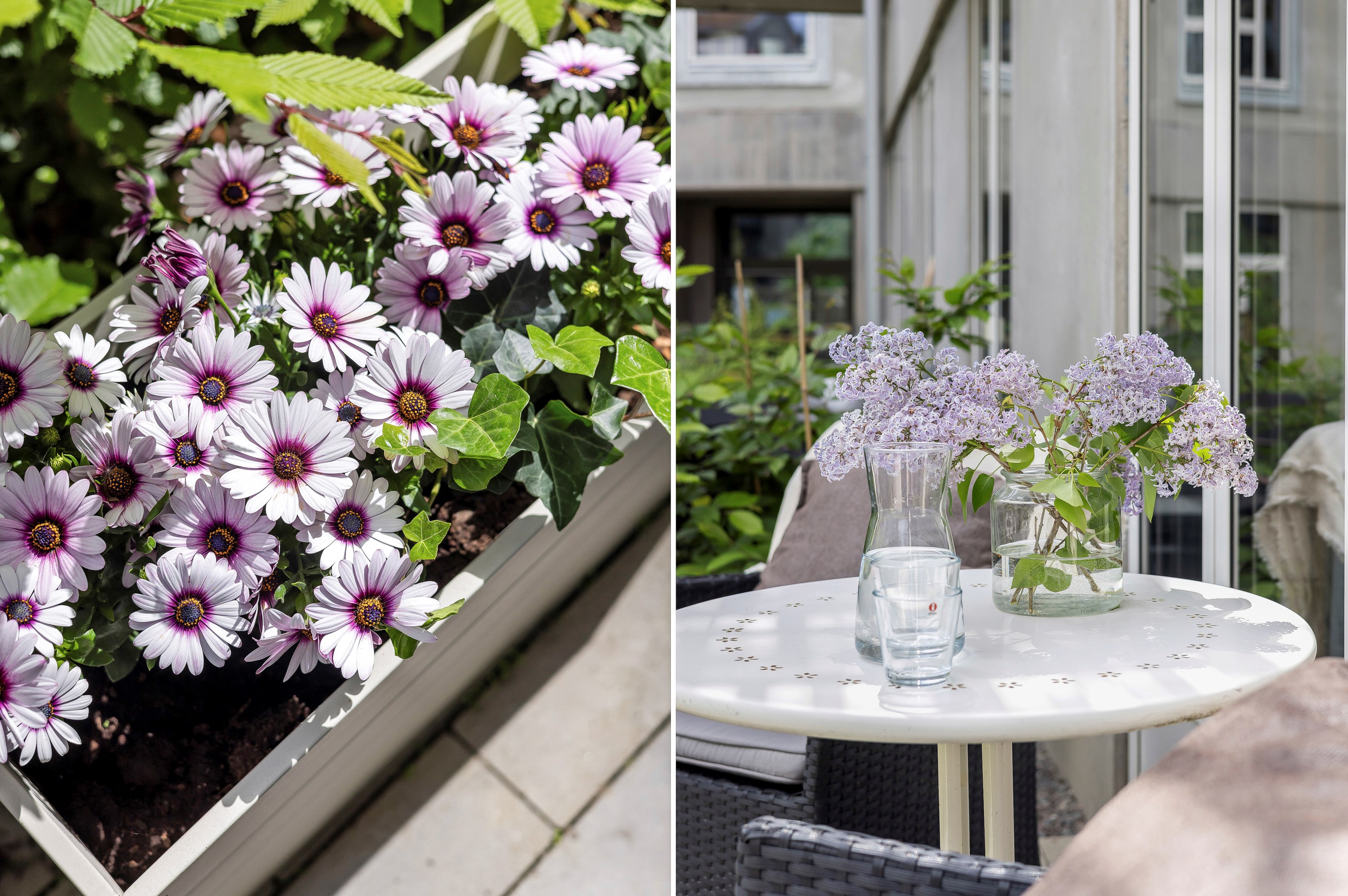 Bostadsbild från Prefektgatan 8, Kommande i Rosendal, Uppsala